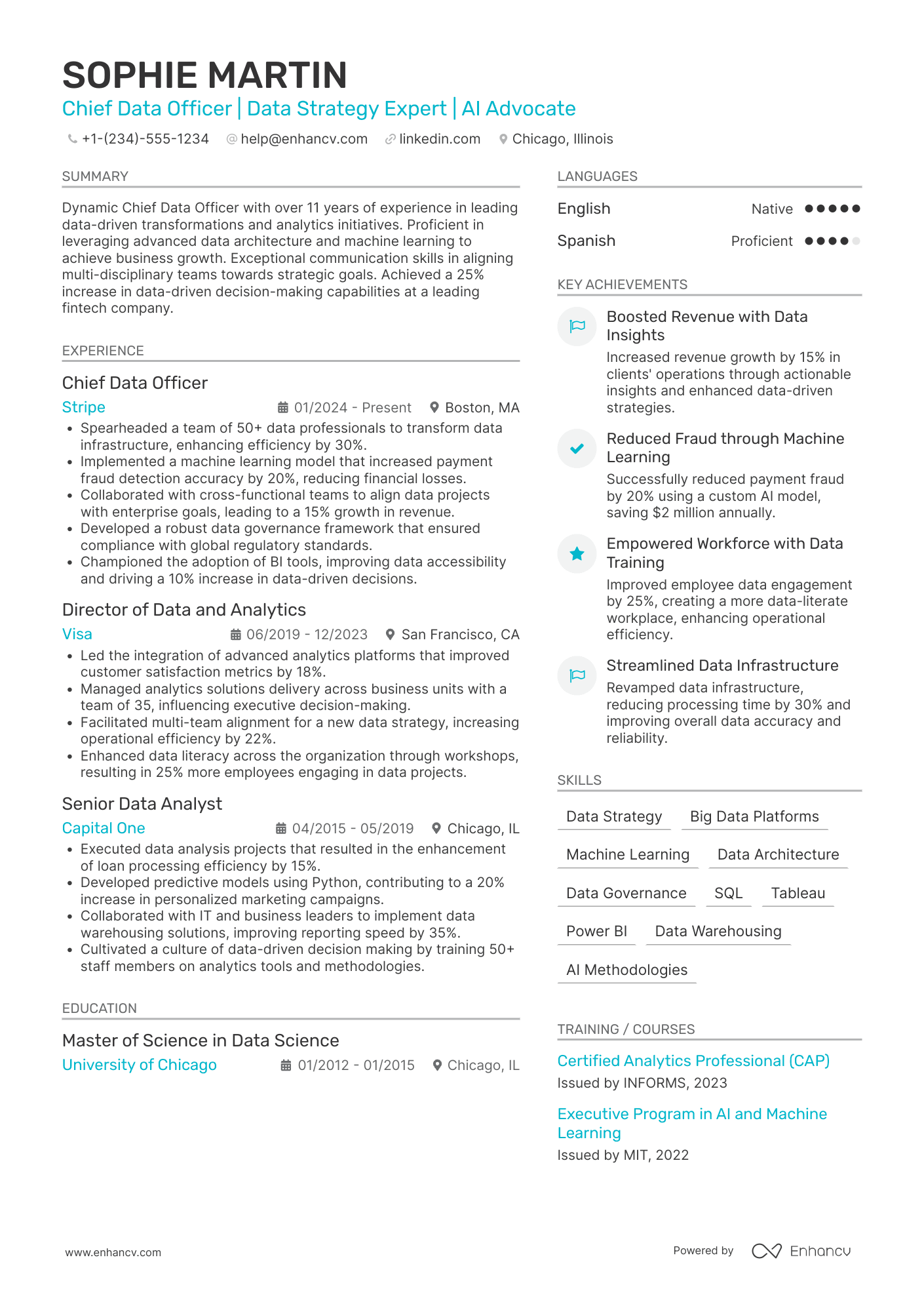 A resume example of a Chief Data and Analytics Officer
