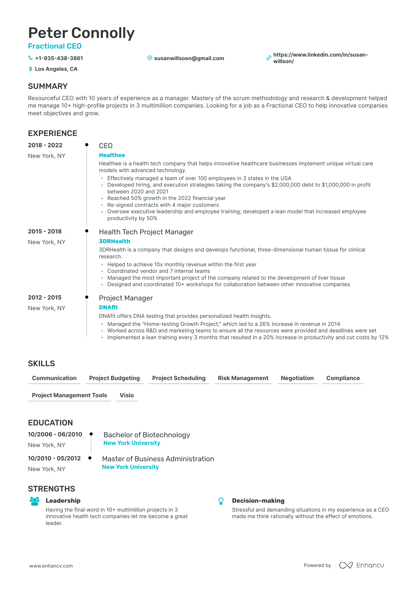 Timeline Fractional CEO Resume Template