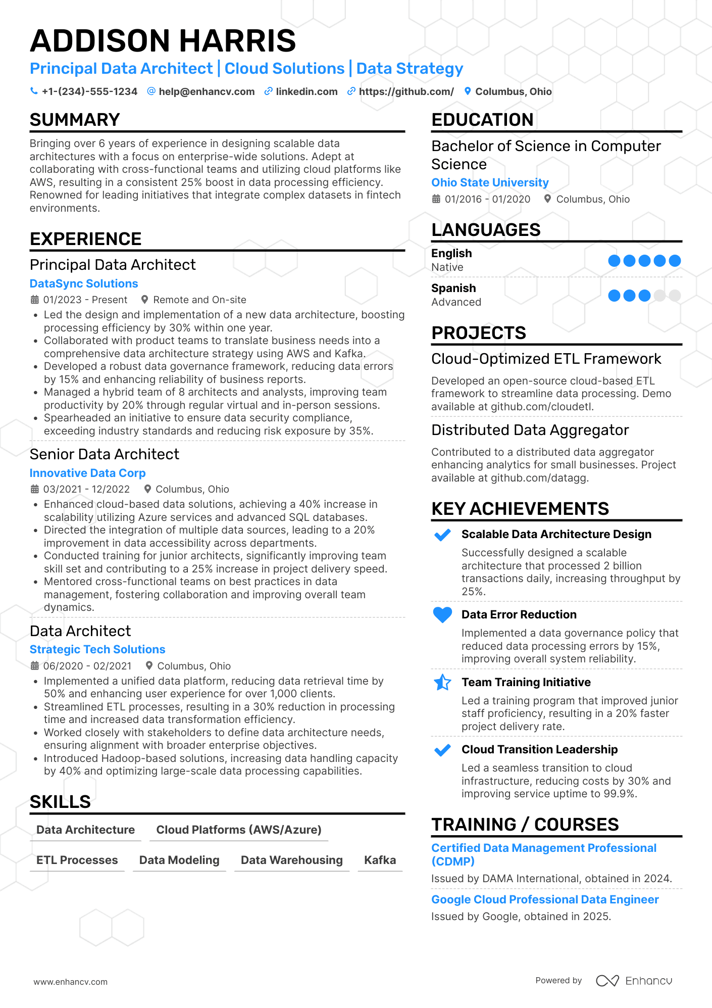 A resume example of a Principal Data Architect