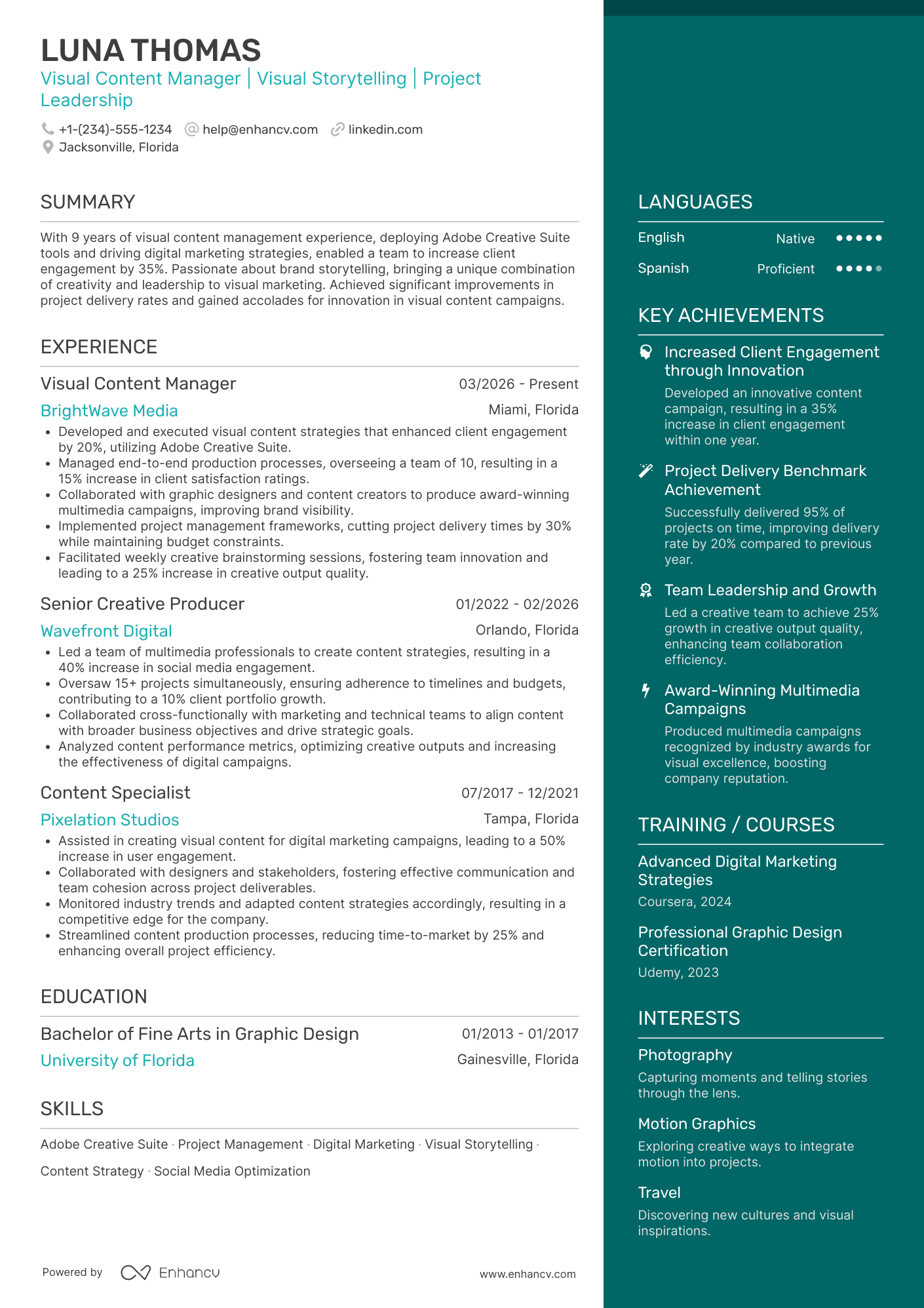 A resume example of a Visual Content Manager