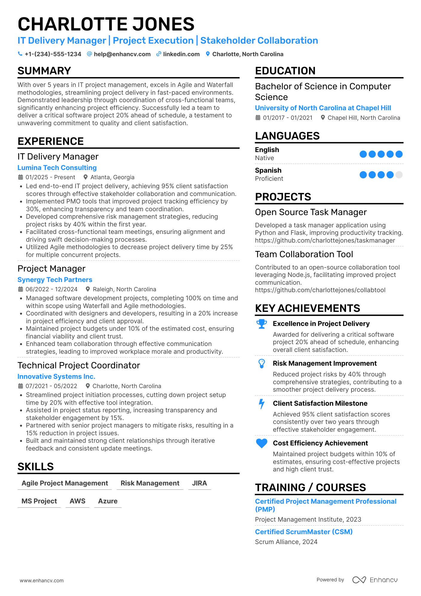 A resume example of a IT Delivery Manager