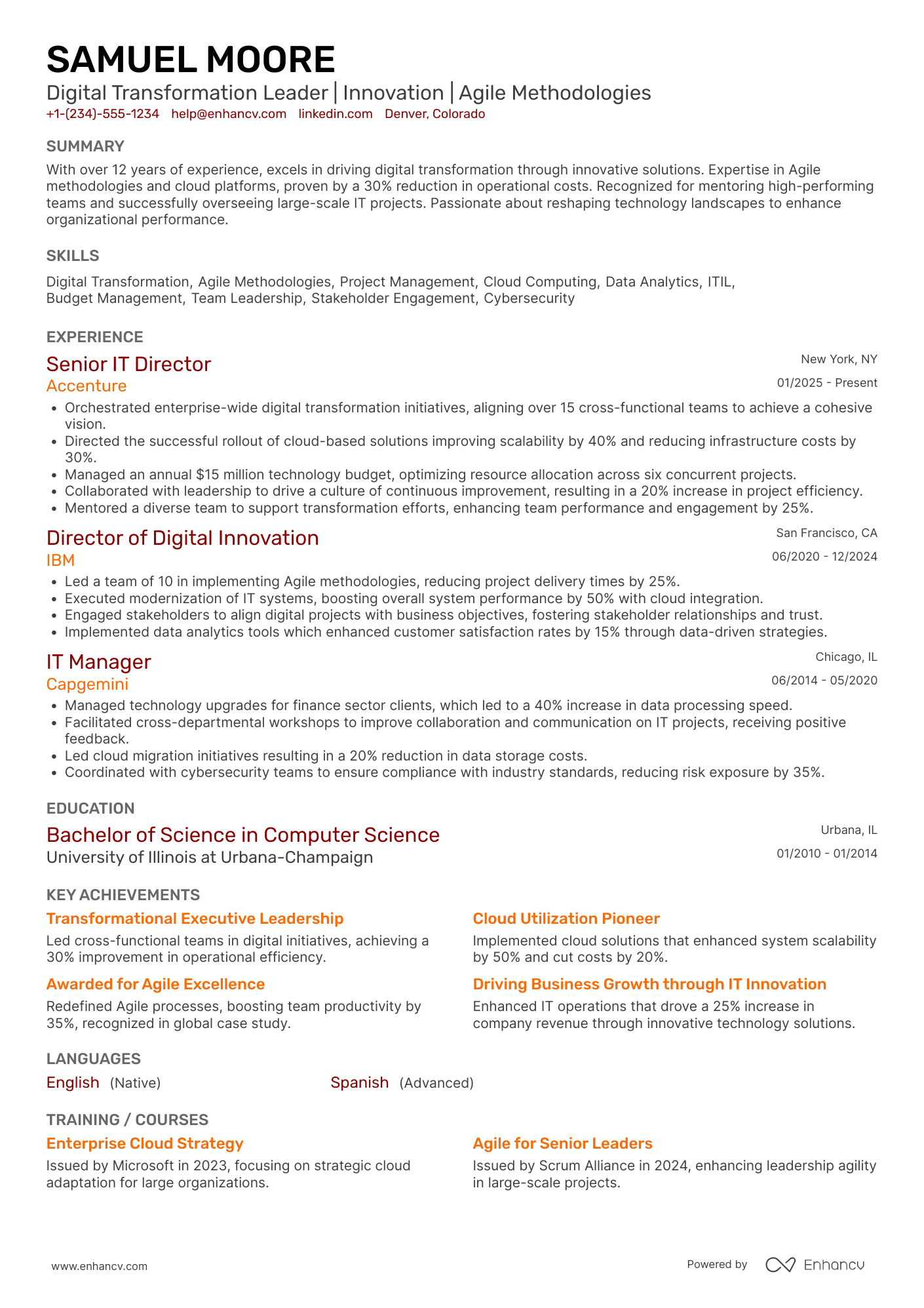 A resume example of a IT Director of Digital Transformation