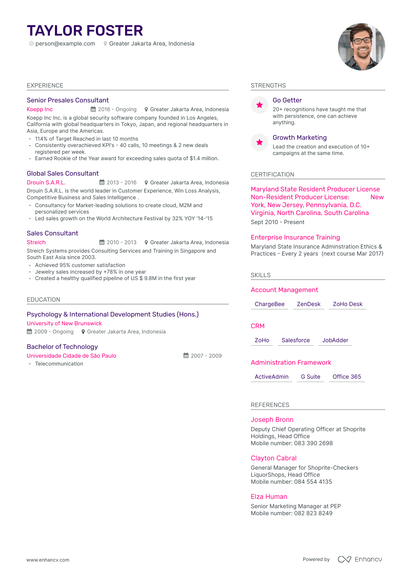 Modern Sales Consultant Resume Template