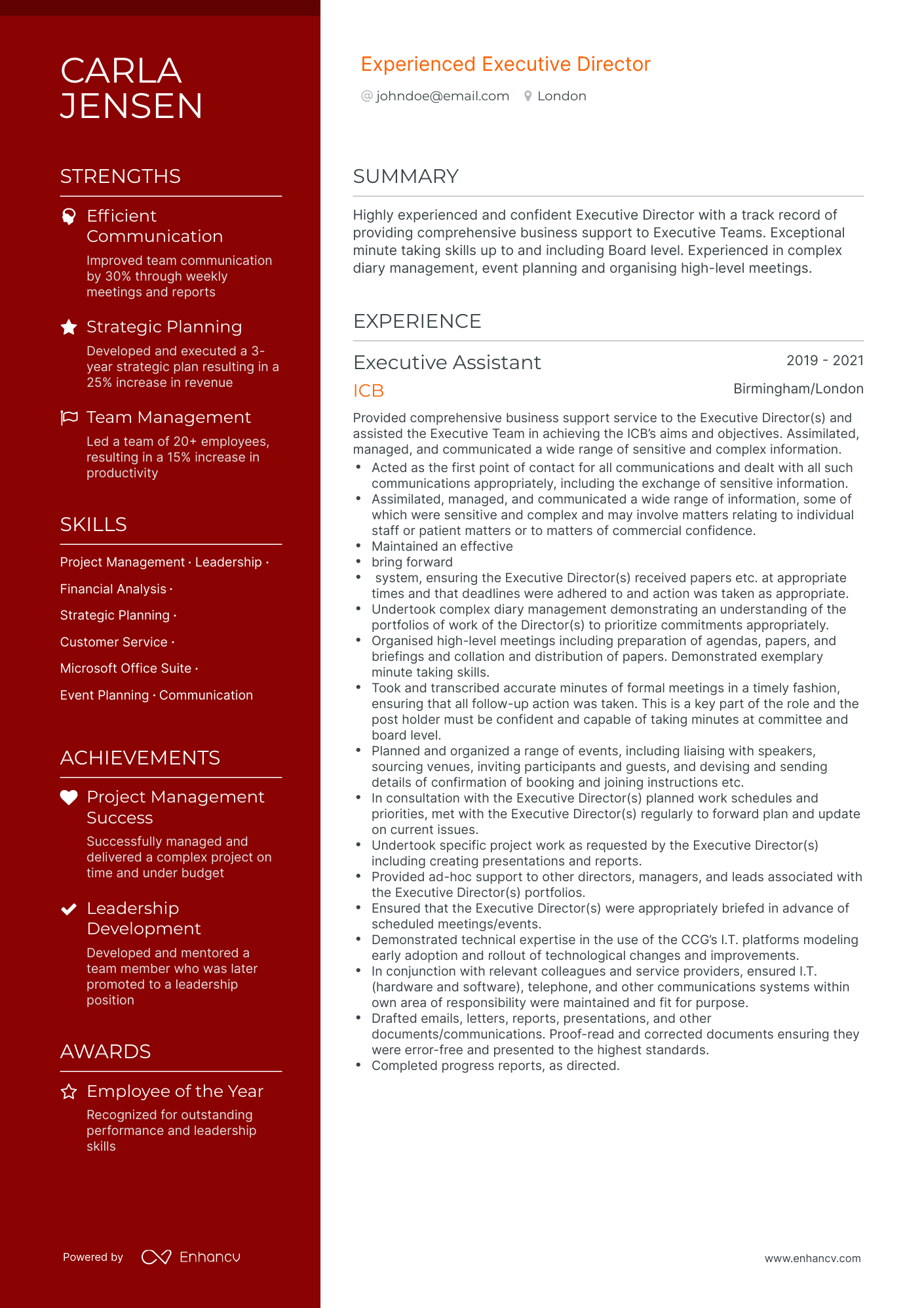 Polished Executive Director Resume Template