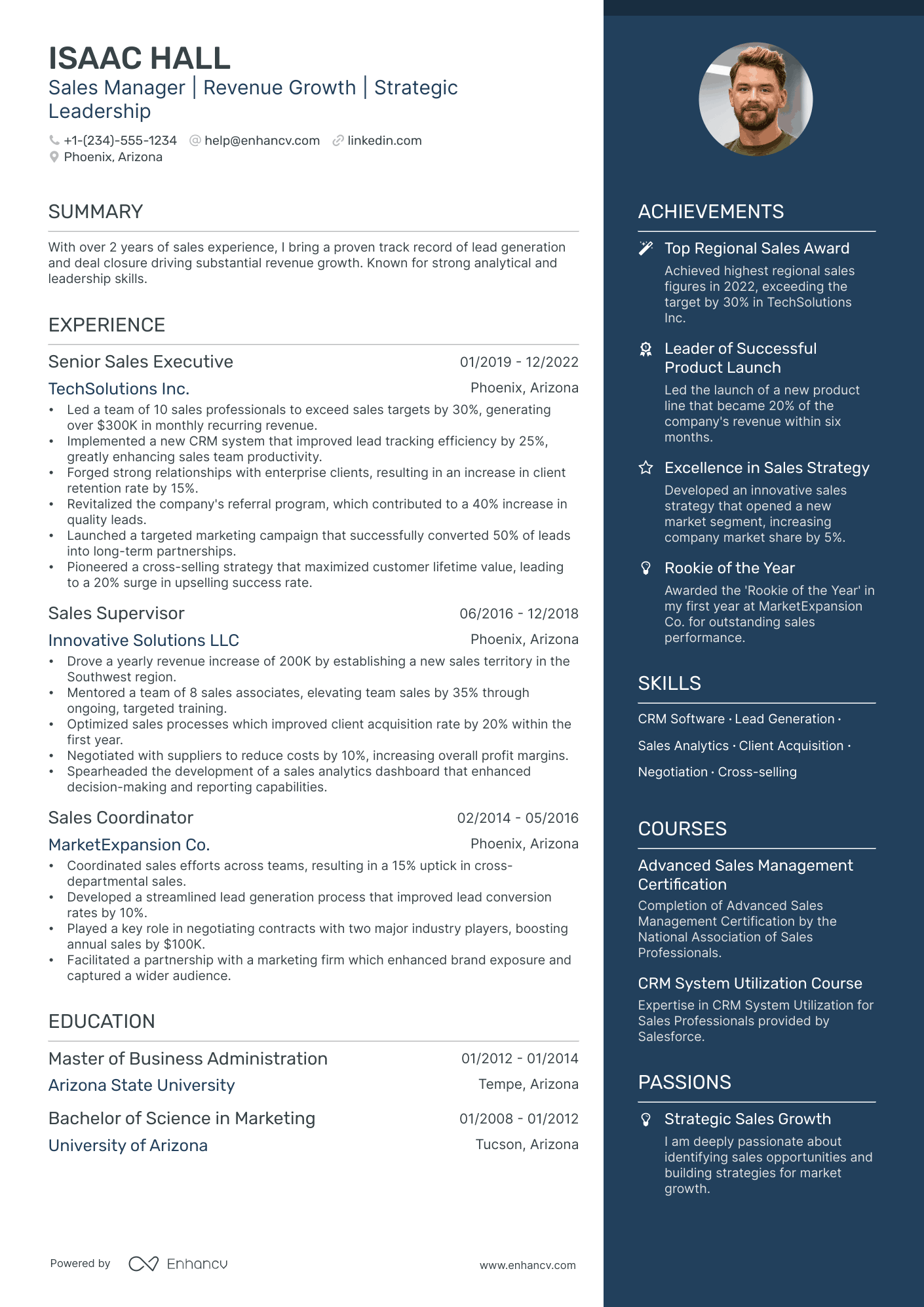 sample resume for sales manager in india