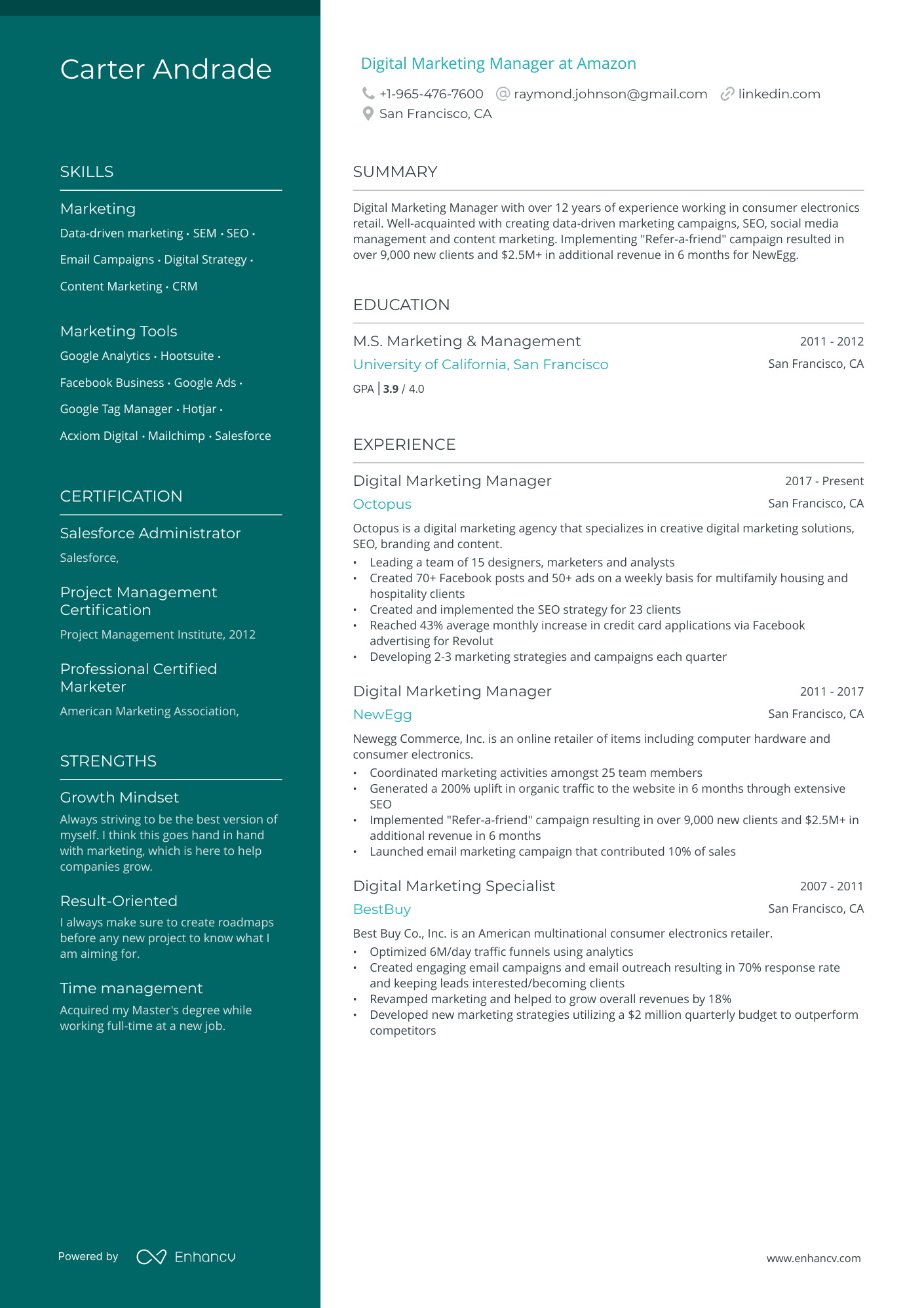sample resume for digital marketing manager