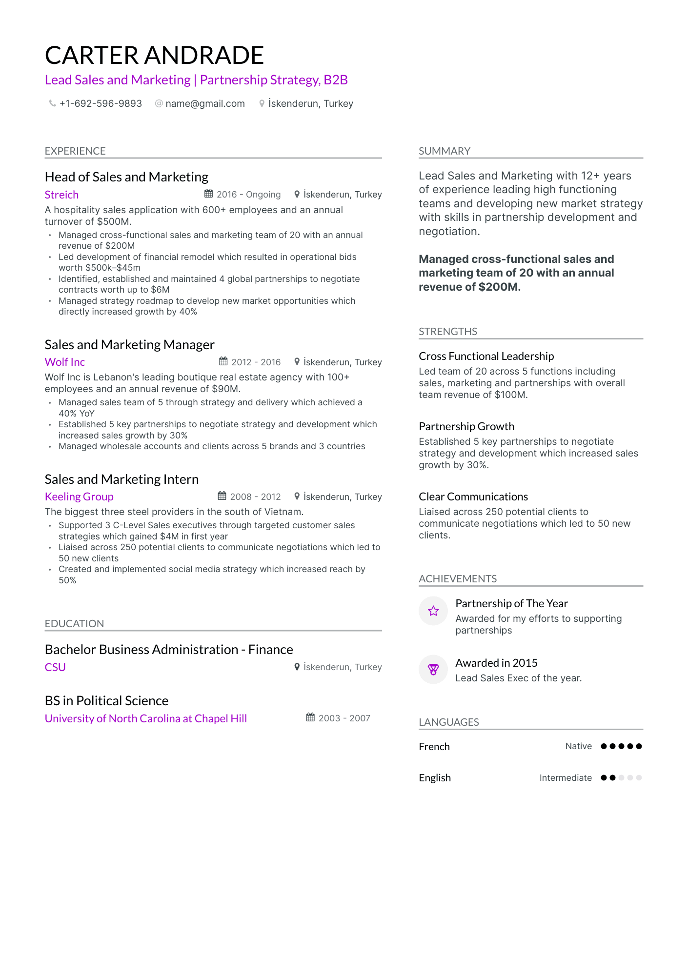 Modern Sales and Marketing Resume Template
