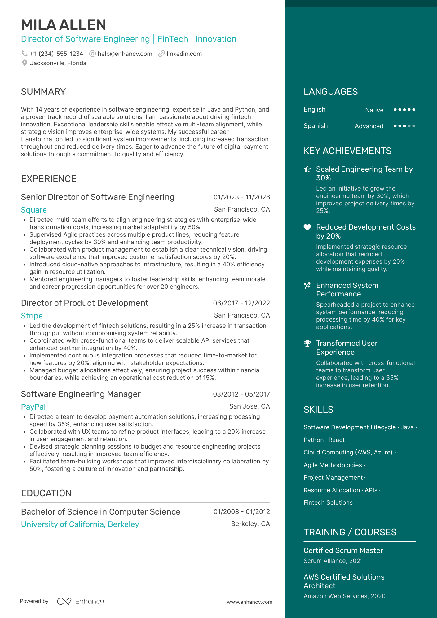 A resume example of a Director Of Software Engineering