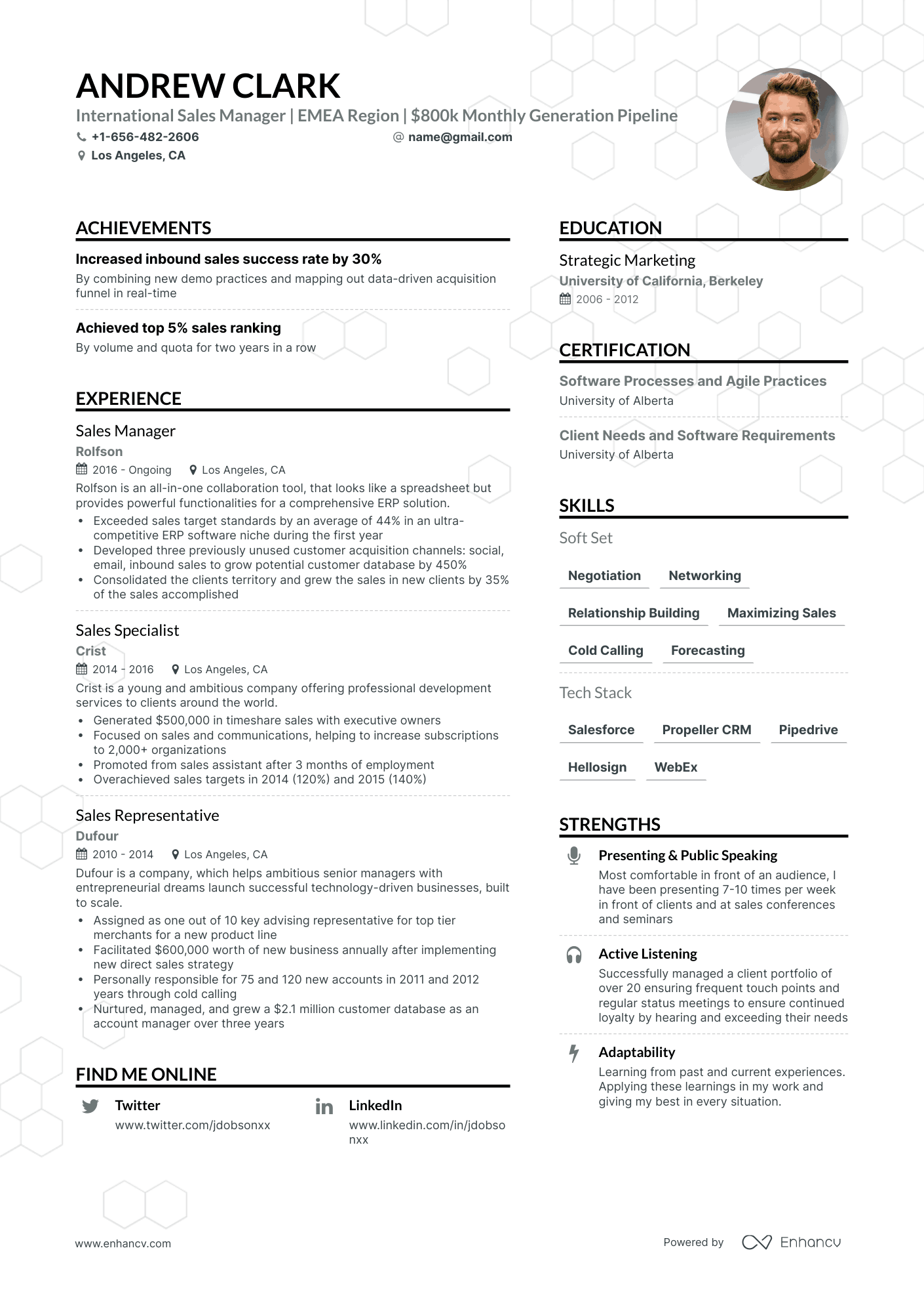 Simple Sales Manager Resume Template