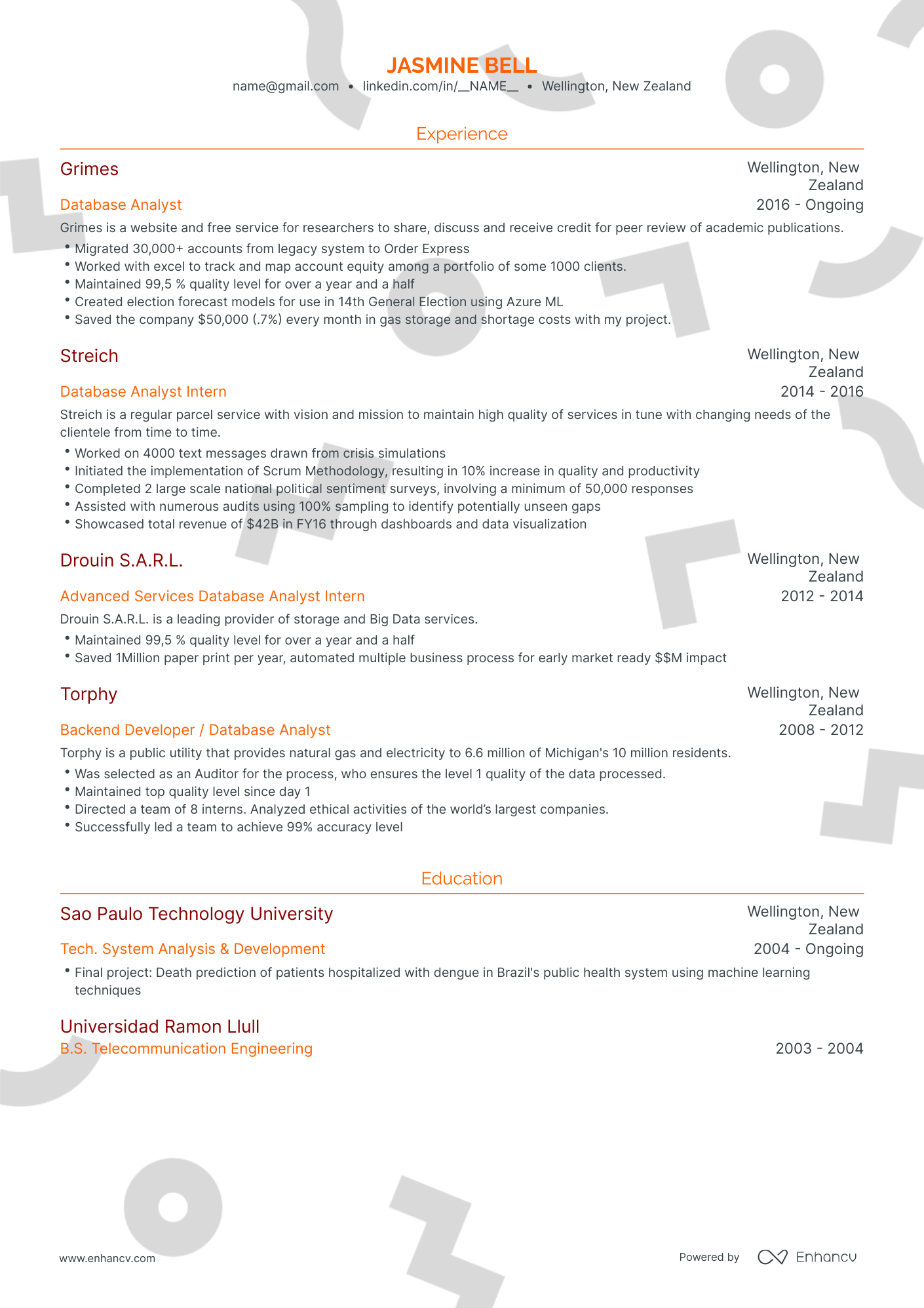 Traditional Database Analyst Resume Template