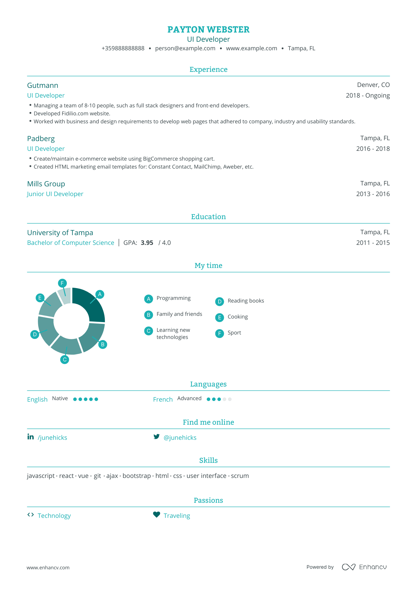 Traditional UI Developer Resume Template