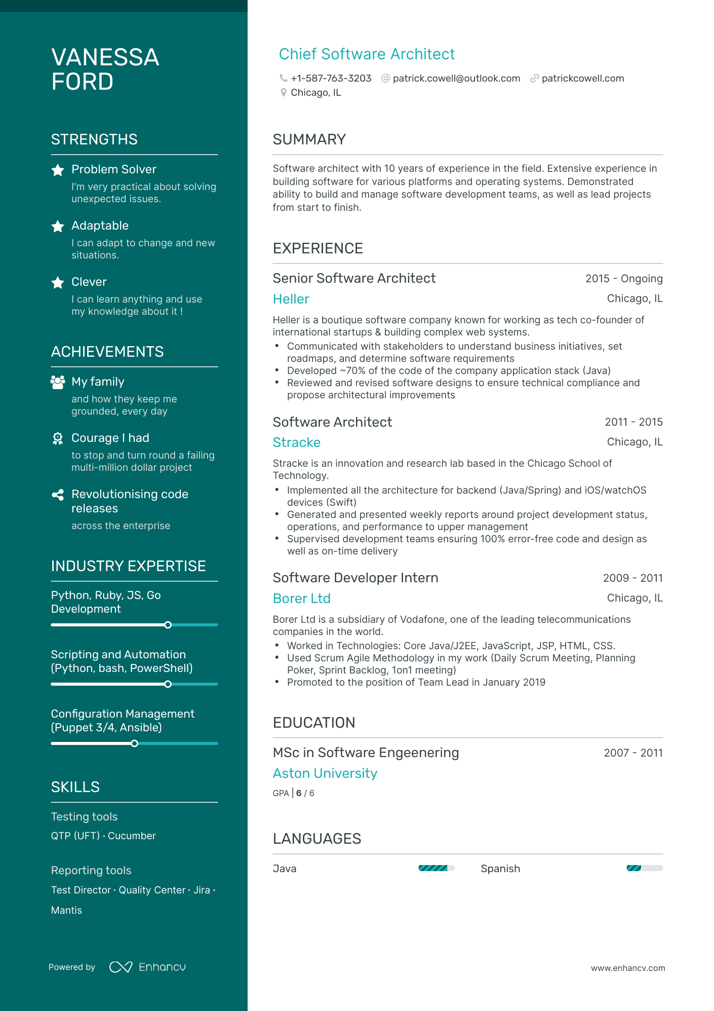 Polished Software Architect Resume Template