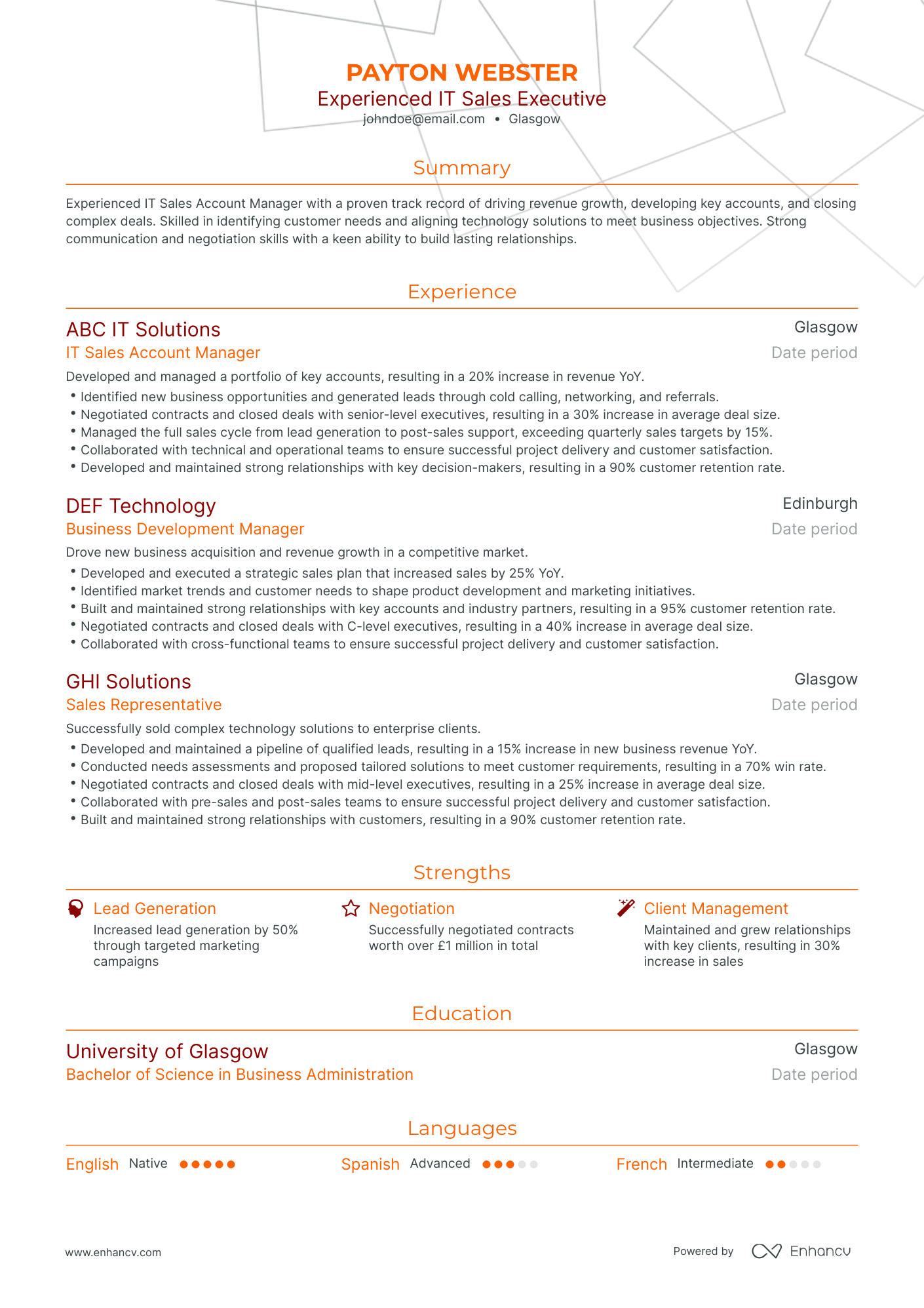 Traditional IT Sales Executive Resume Template
