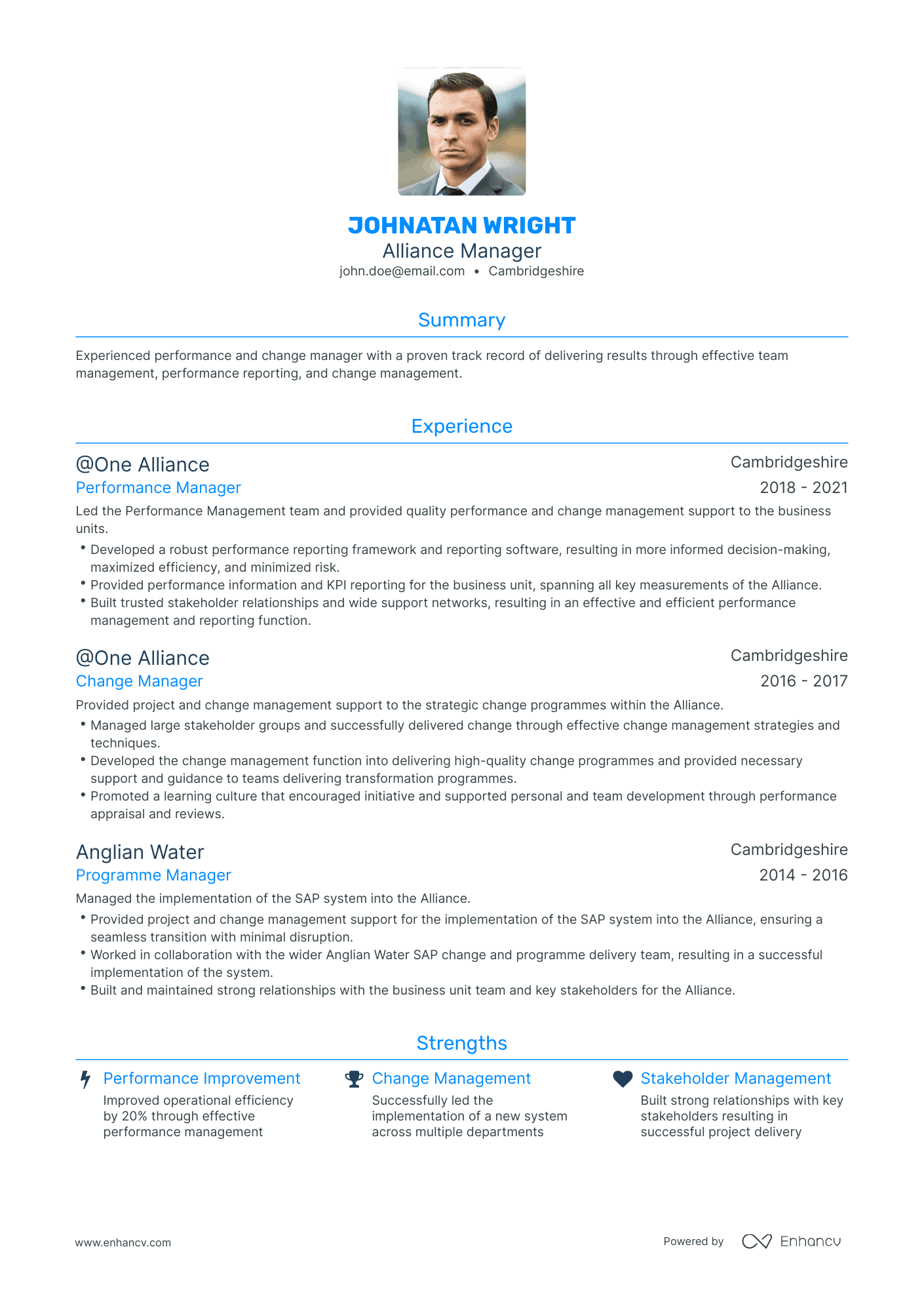 Traditional Alliance Manager Resume Template