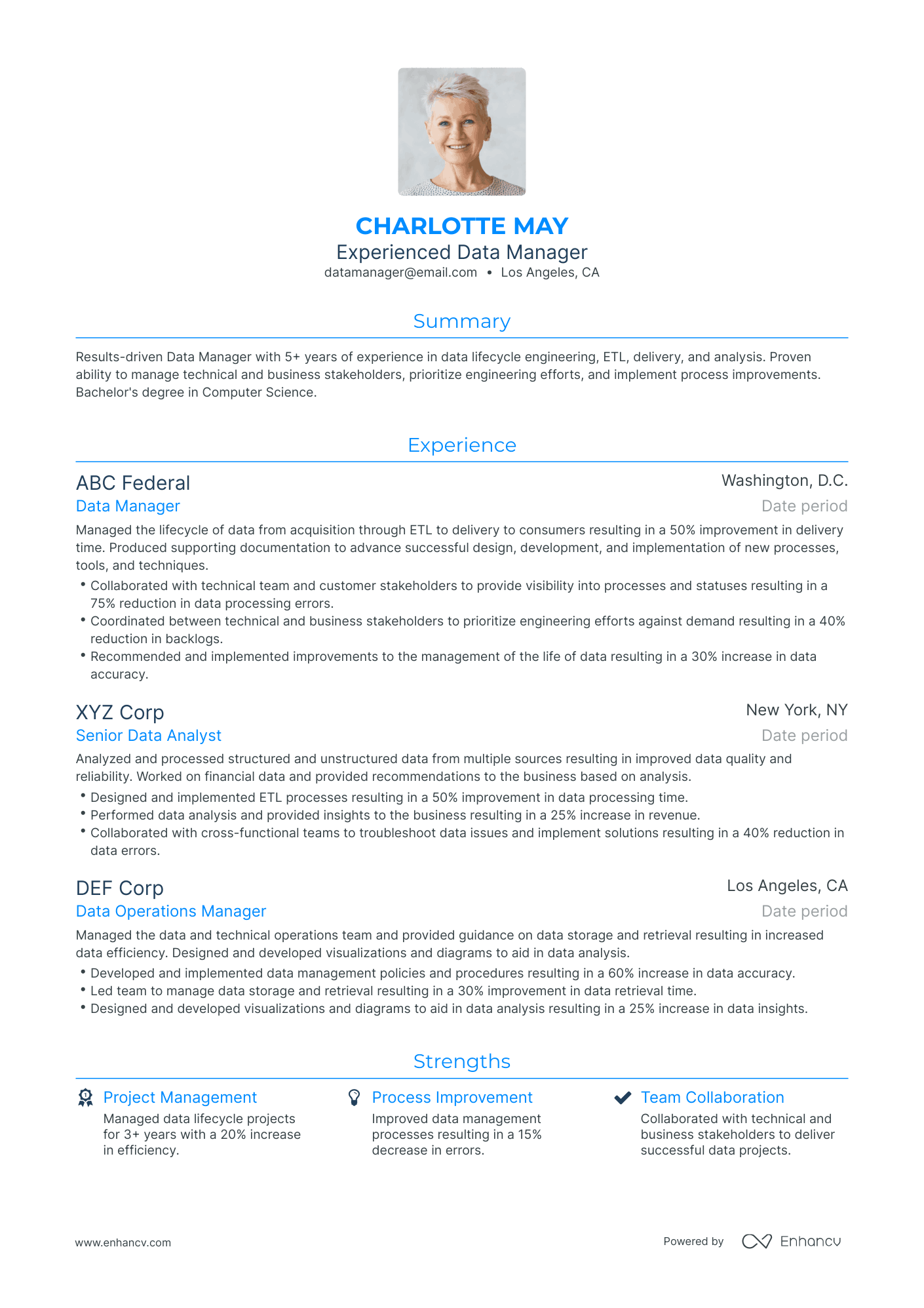 Traditional Data Manager Resume Template