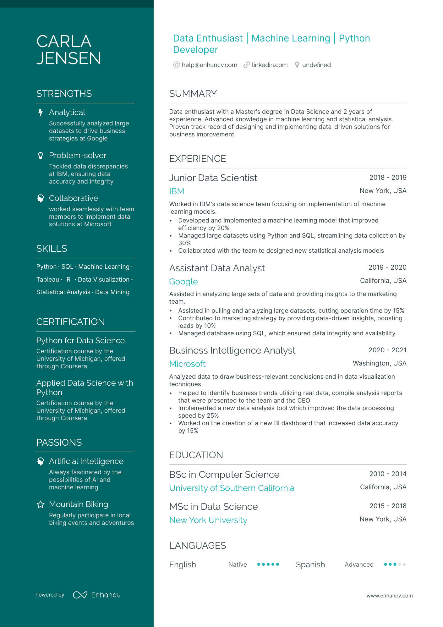 professional summary in resume for data scientist
