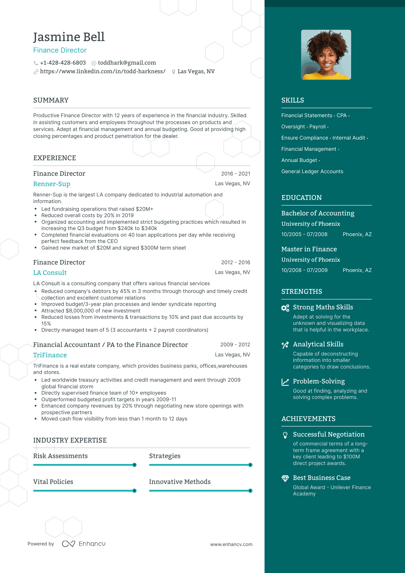 One Page Finance Director Resume Template