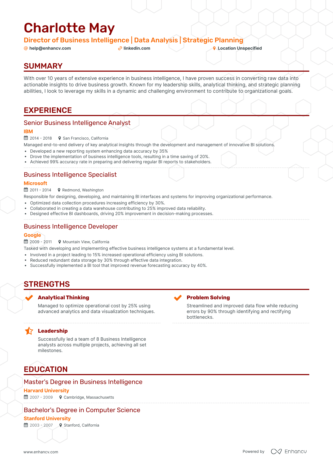 undefined Business intelligence director Resume Template