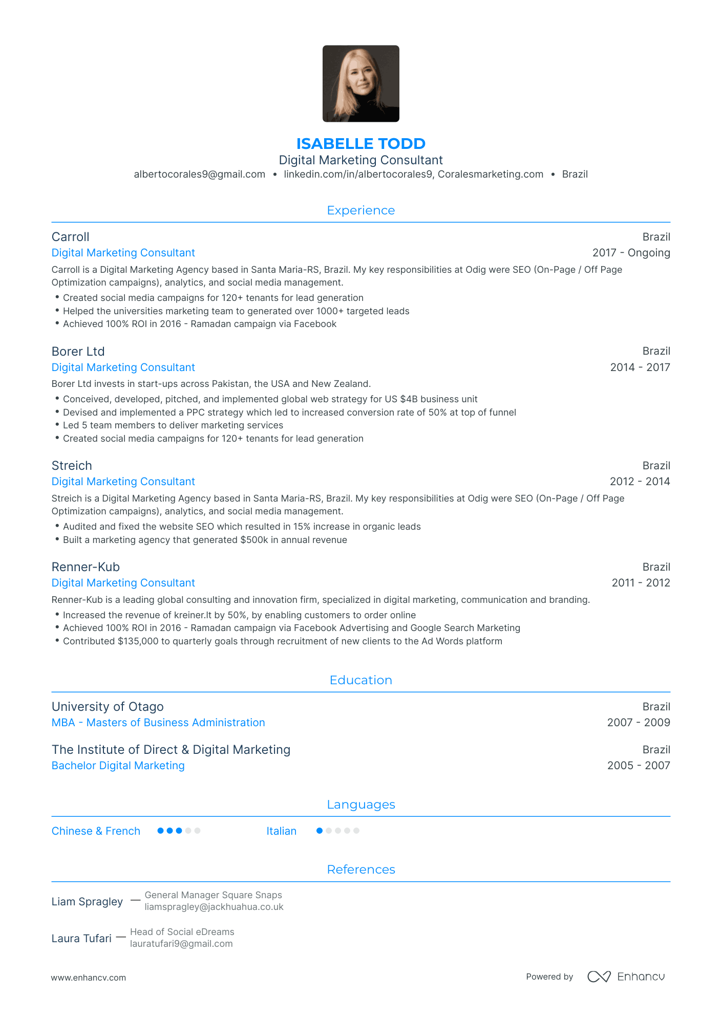 Traditional Digital Marketing Consultant Resume Template