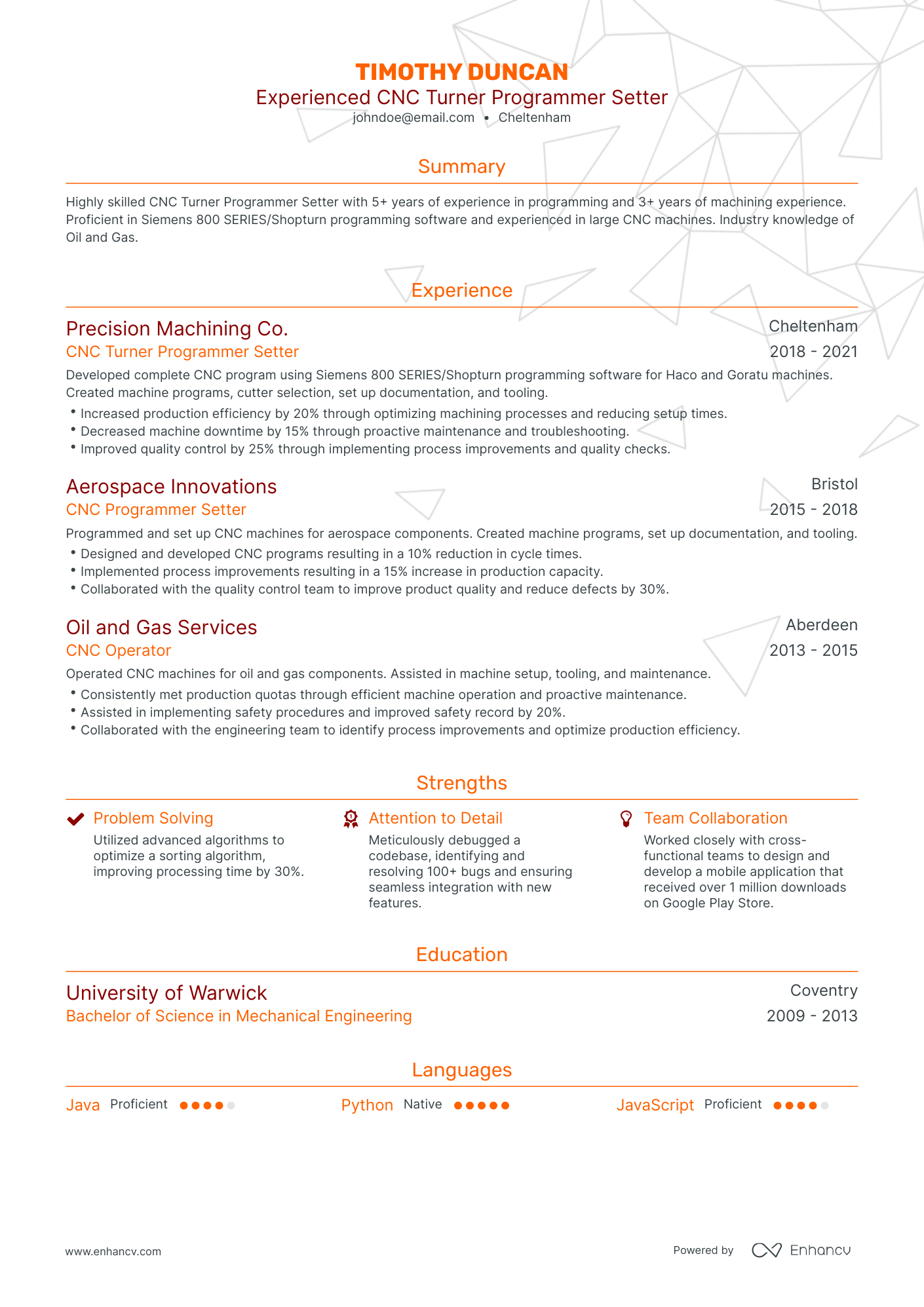 Traditional Software Programmer Resume Template