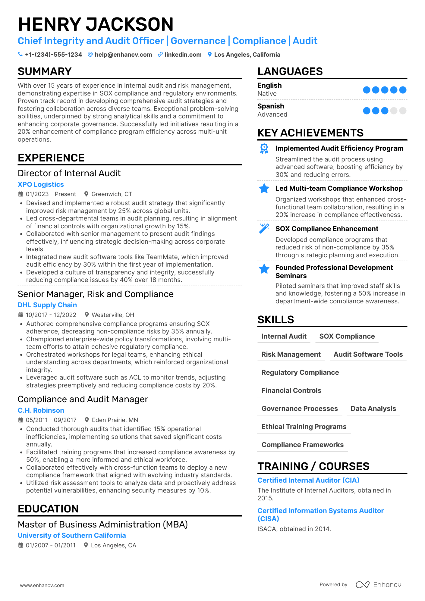 A resume example of a Chief Integrity and Audit Officer