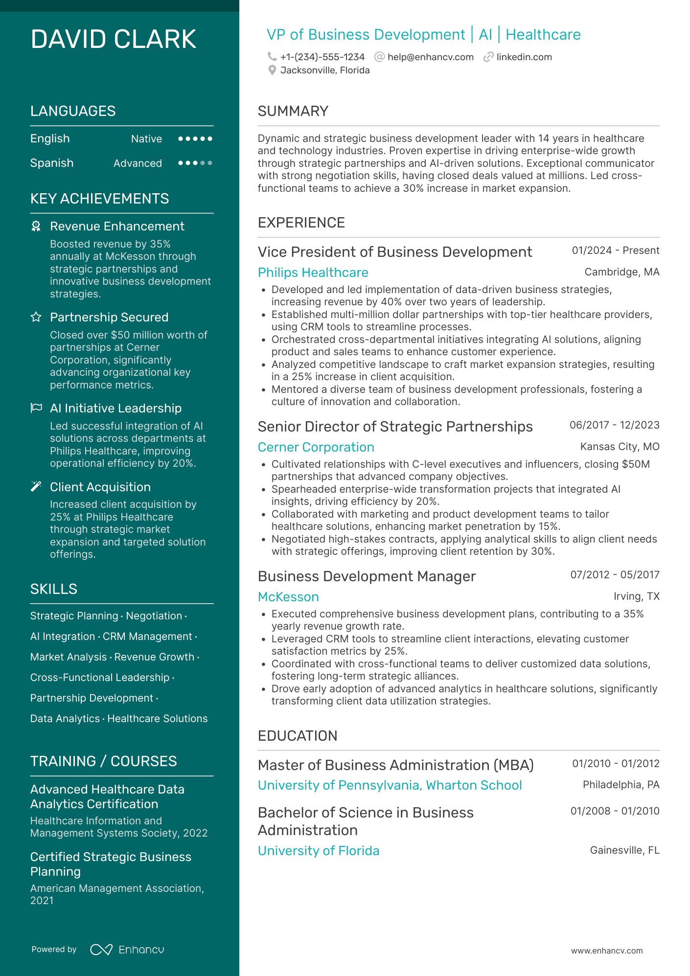 A resume example of a VP Business Development