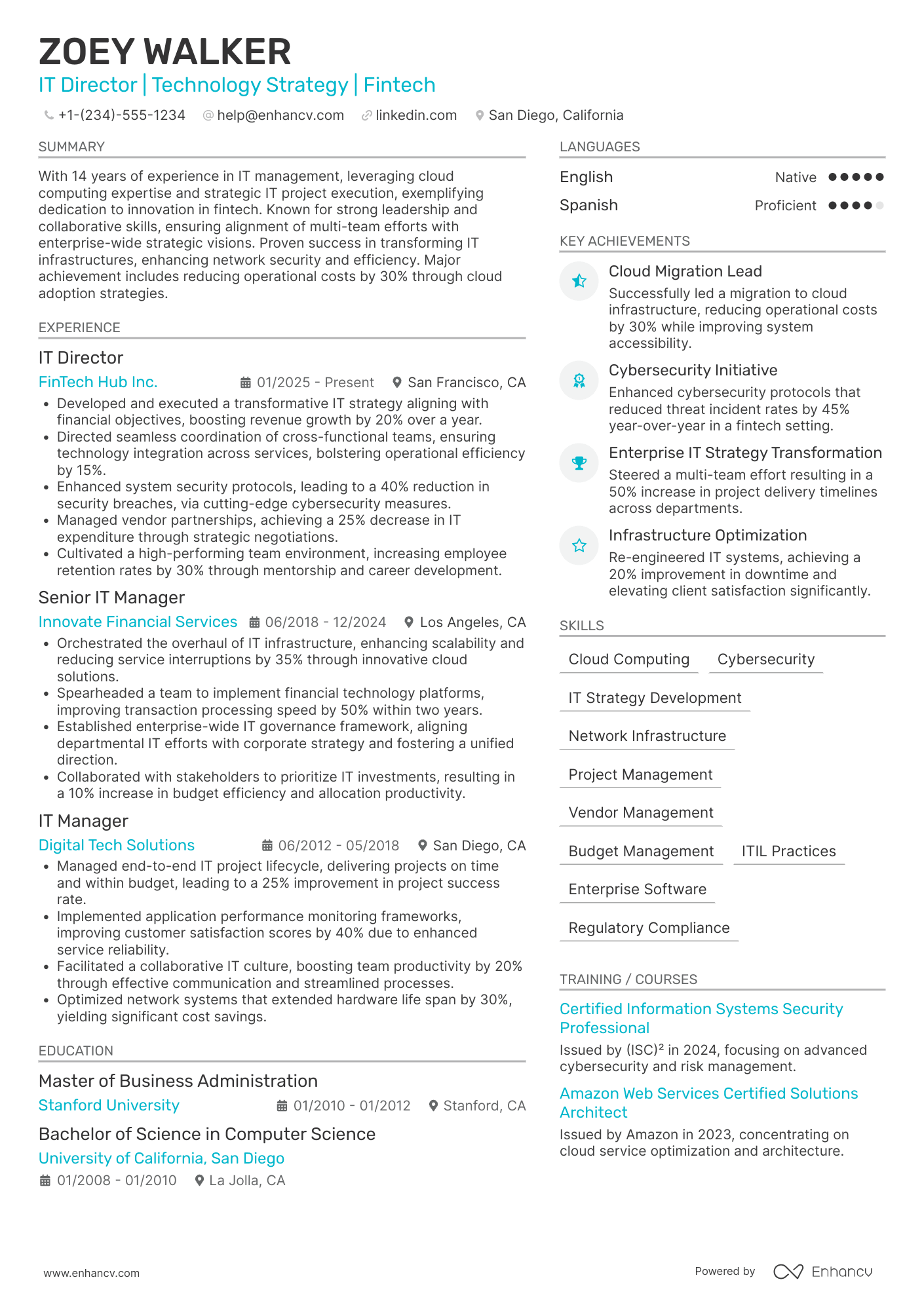 A resume example of a IT Director