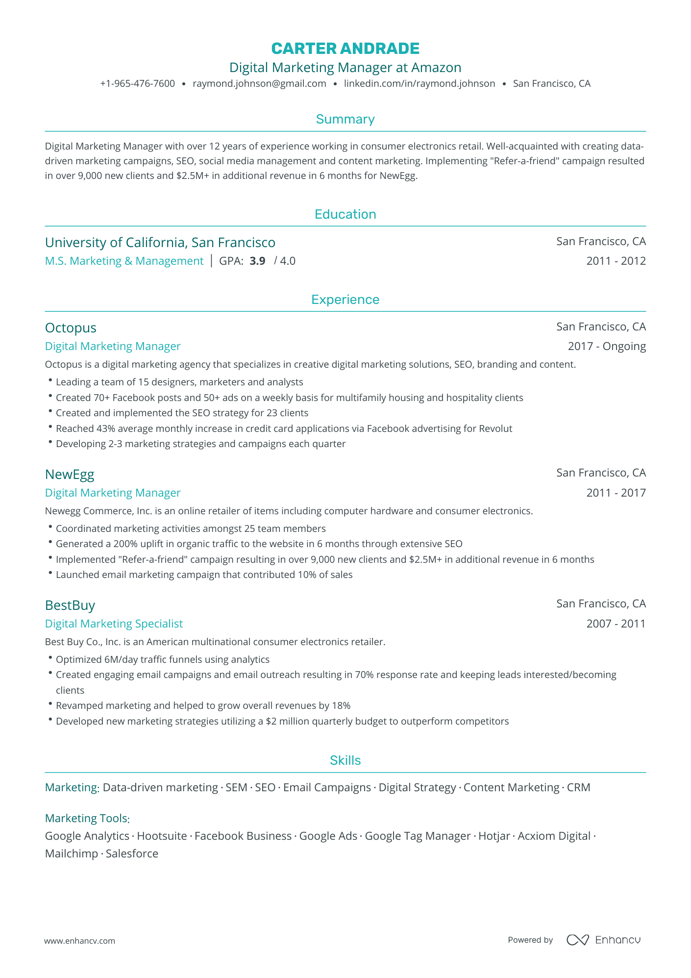 Traditional Digital Marketing Manager Resume Template