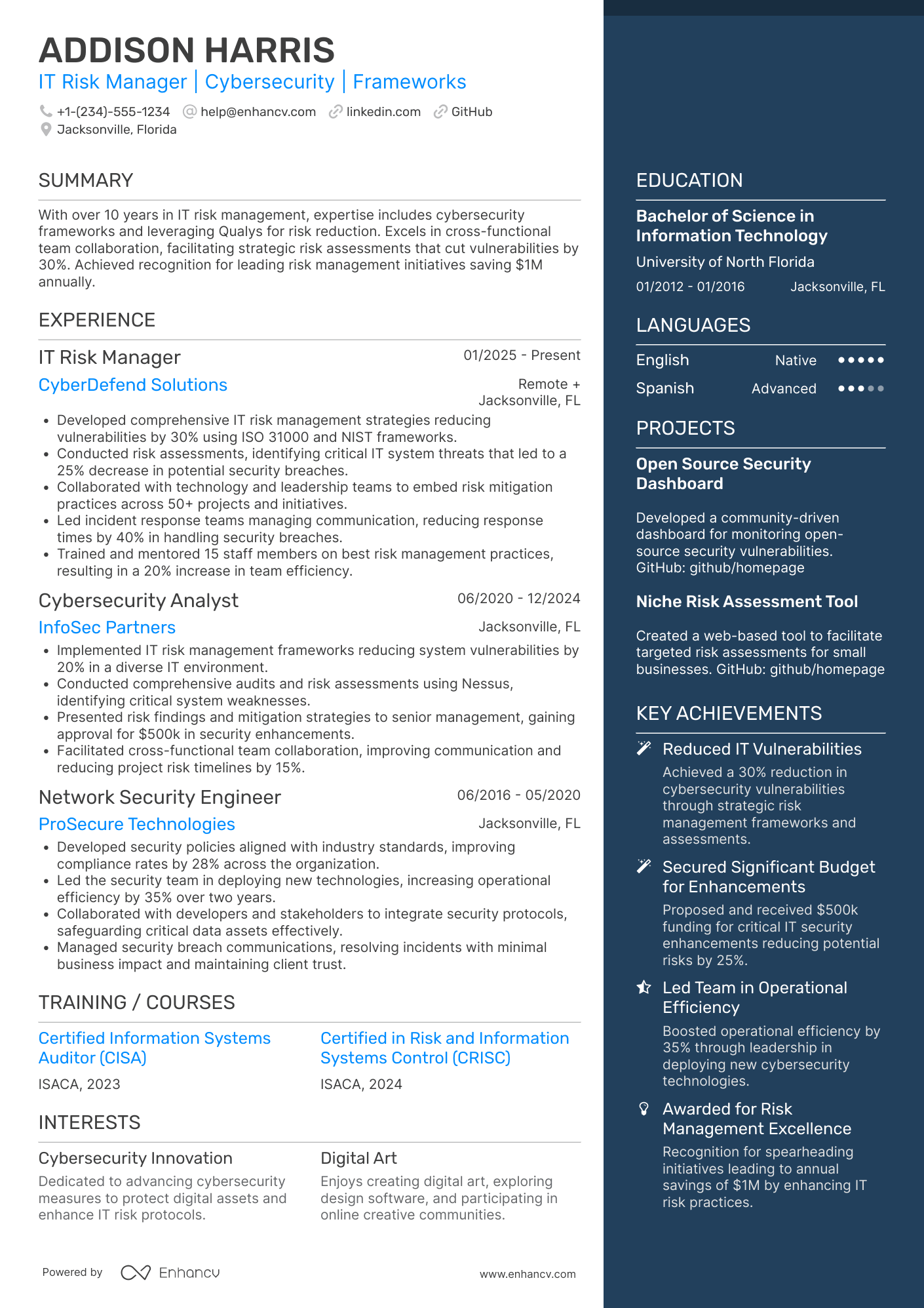 A resume example of a IT Risk Manager