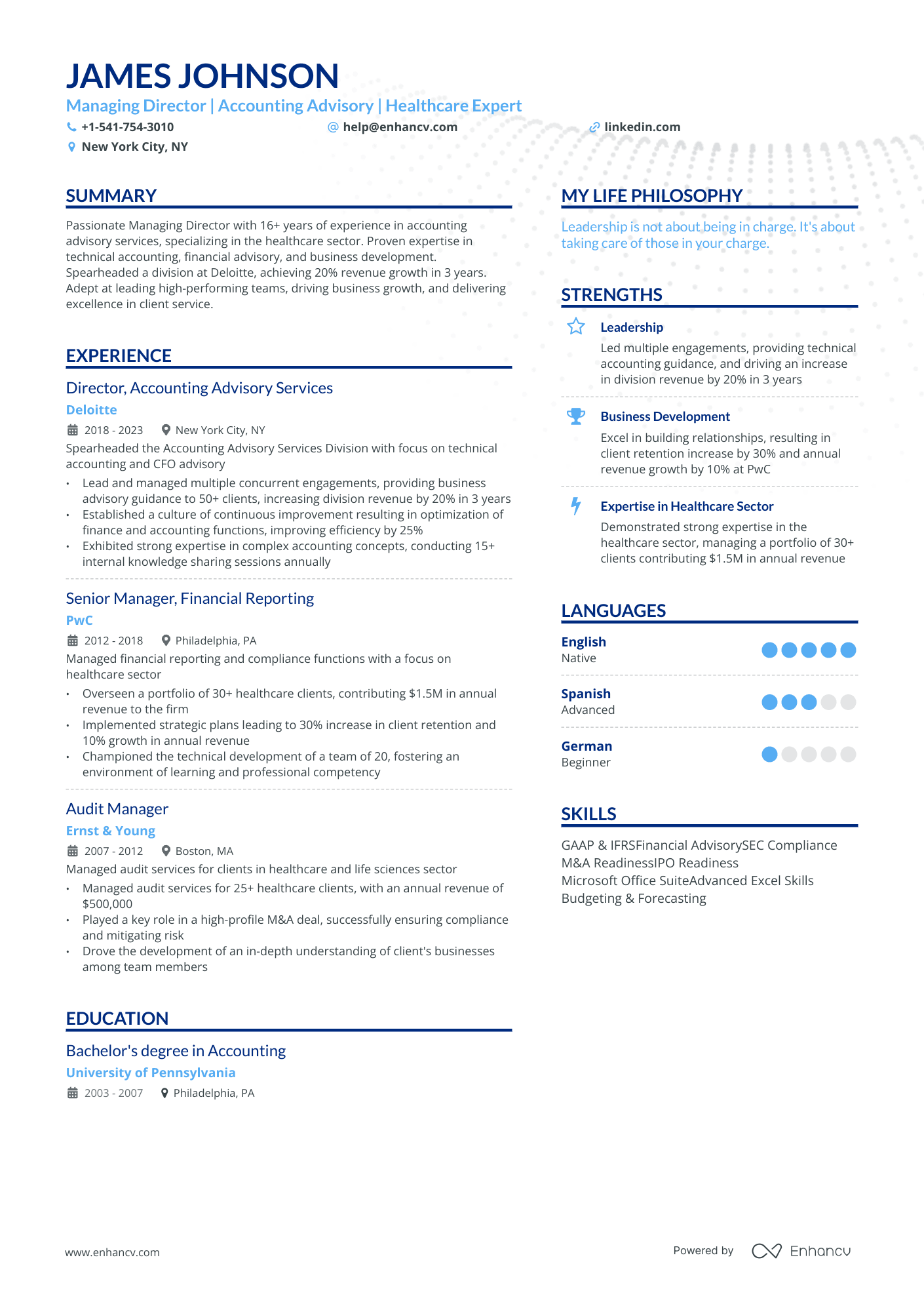 resume objective examples for director