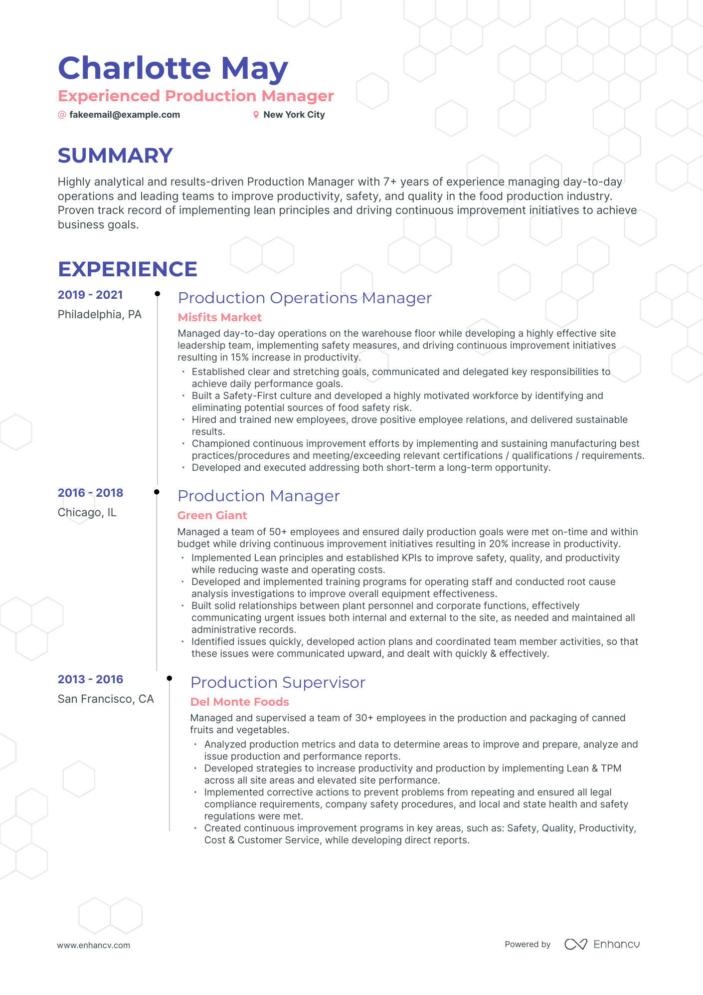 Timeline Production Manager Resume Template