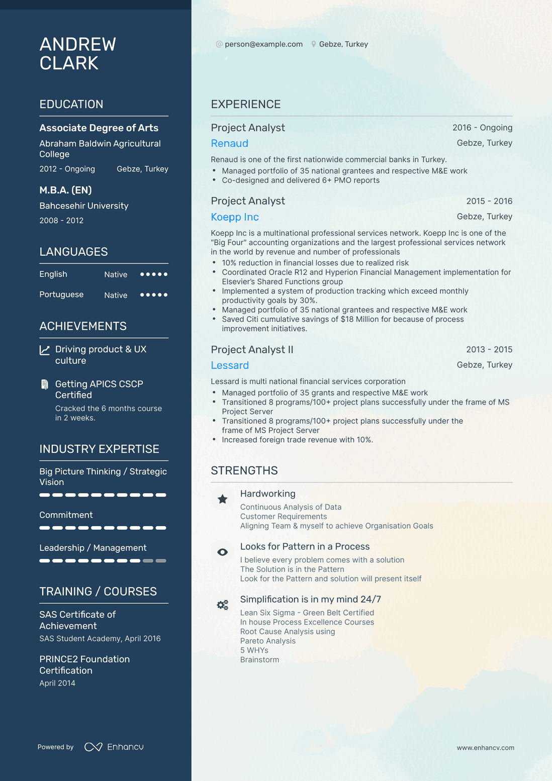 Polished Project Analyst Resume Template