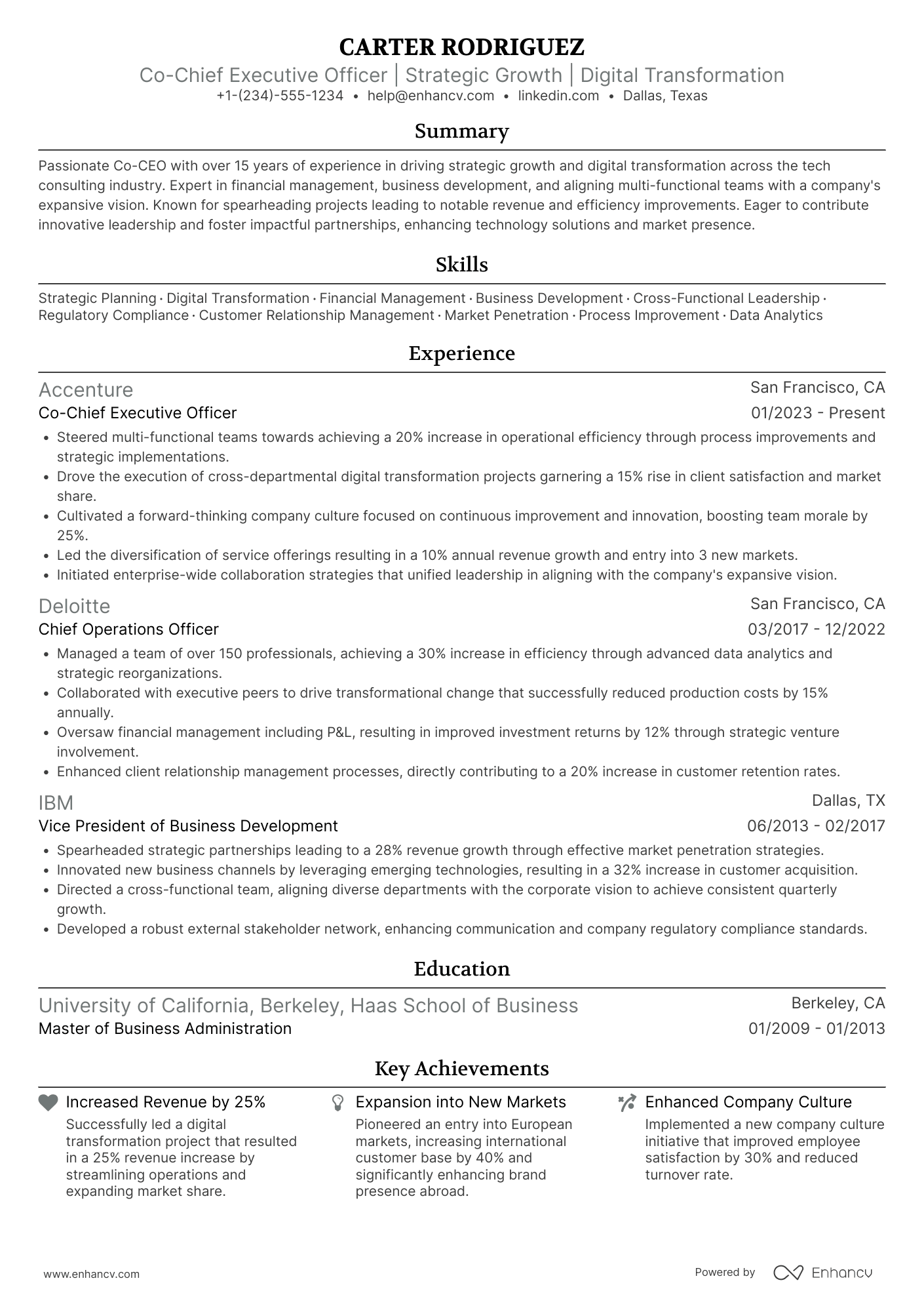 A resume example of a Co Chief Executive Officer