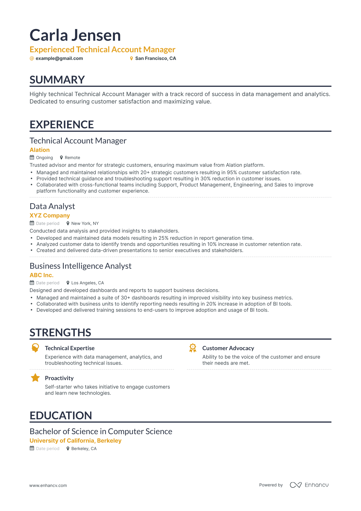 Classic Technical Account Manager Resume Template