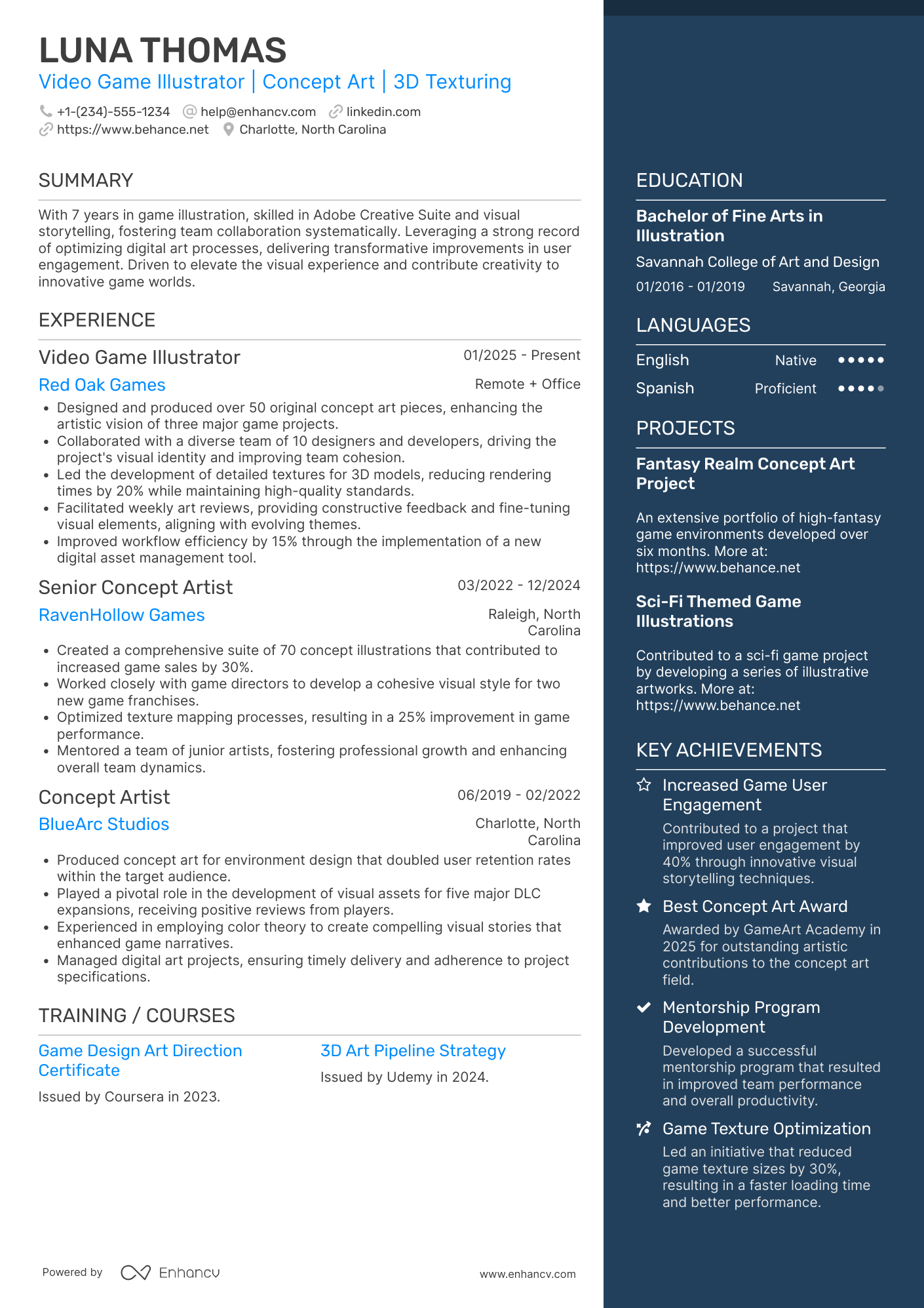 A resume example of a Video Game Illustrator