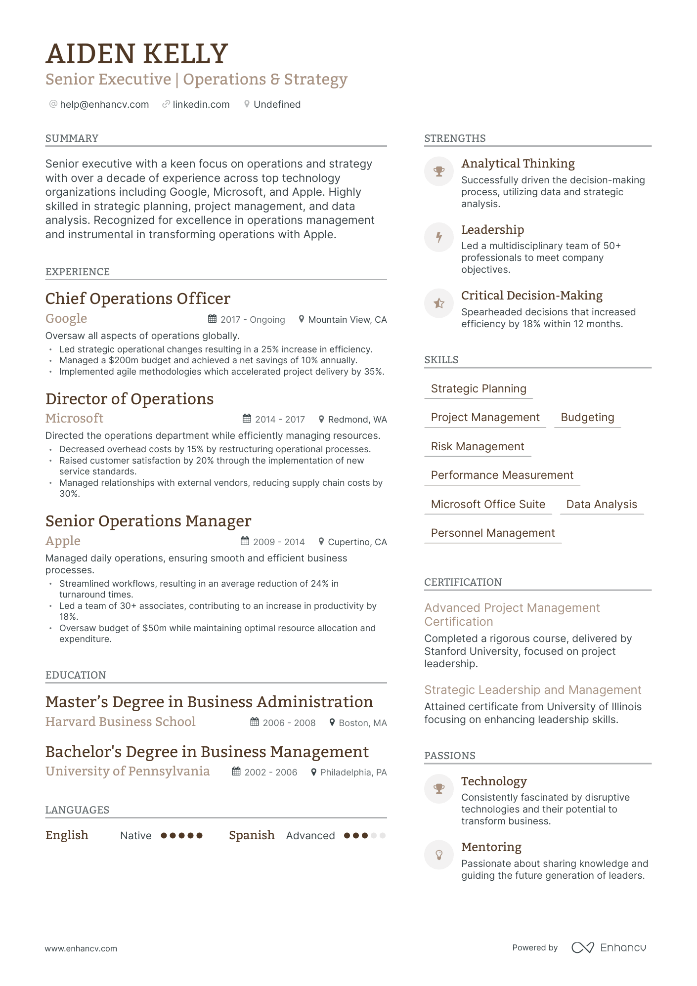undefined Board of Directors Resume Template