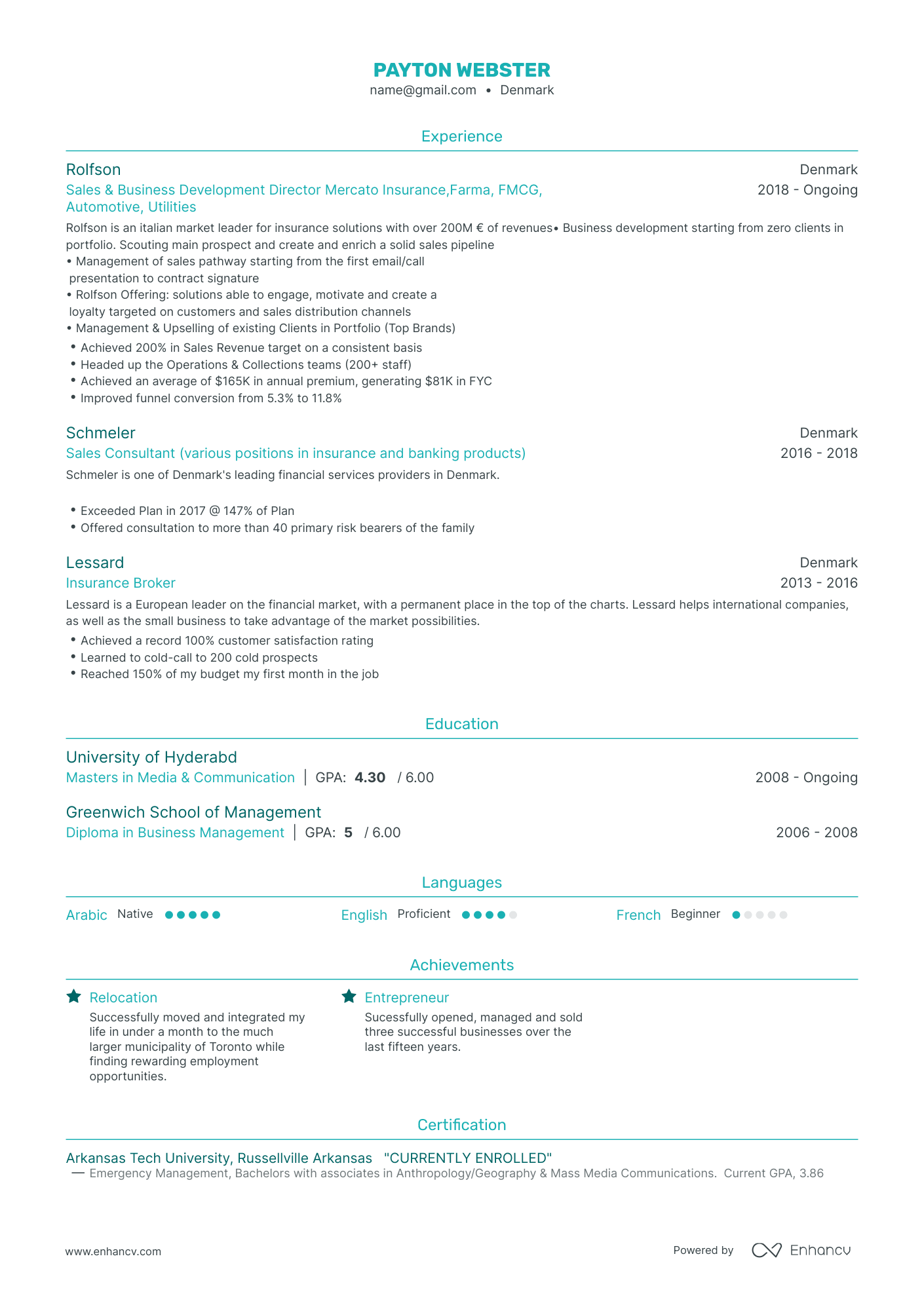 Traditional Insurance Sales Resume Template