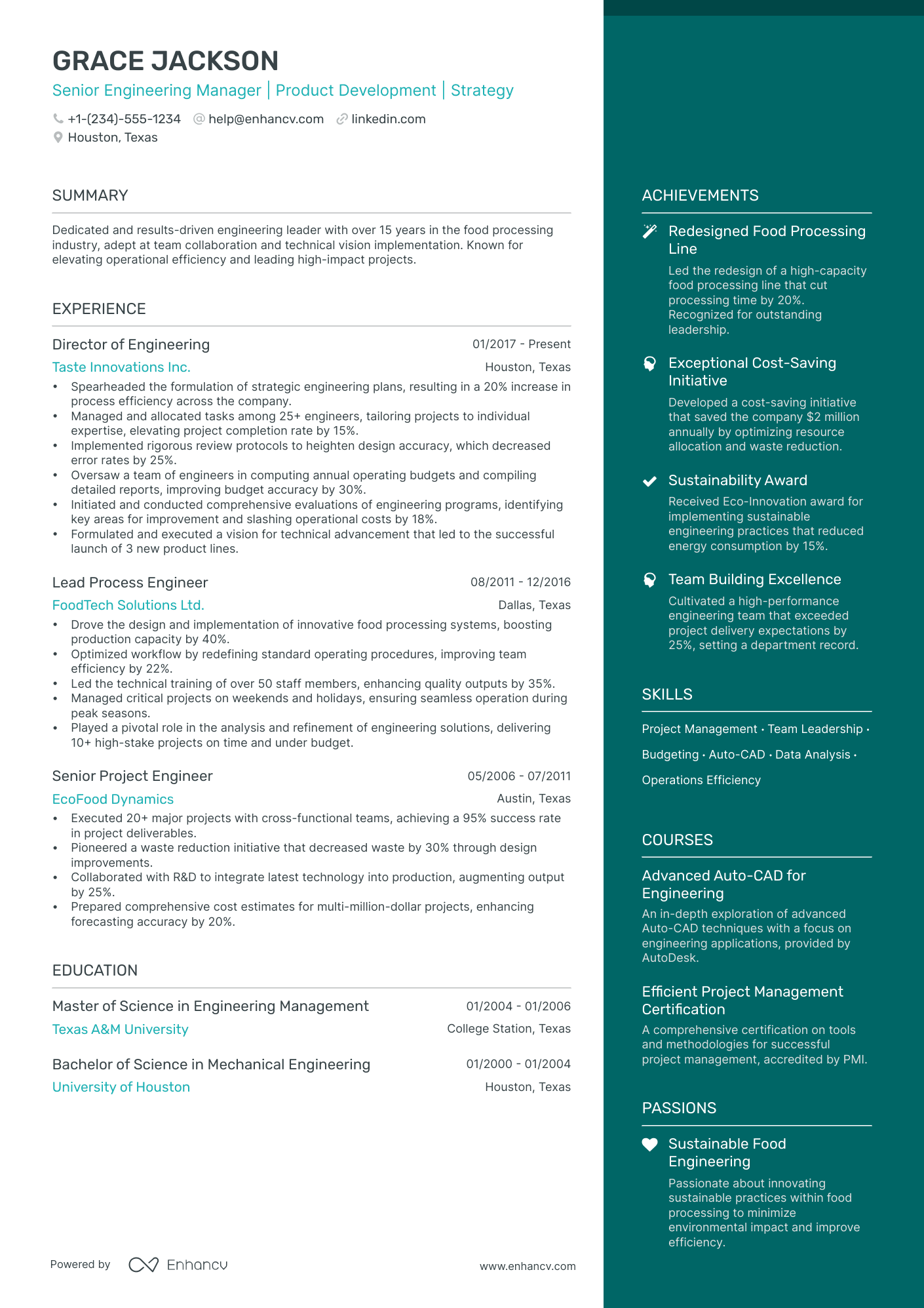sample resume for director software engineering