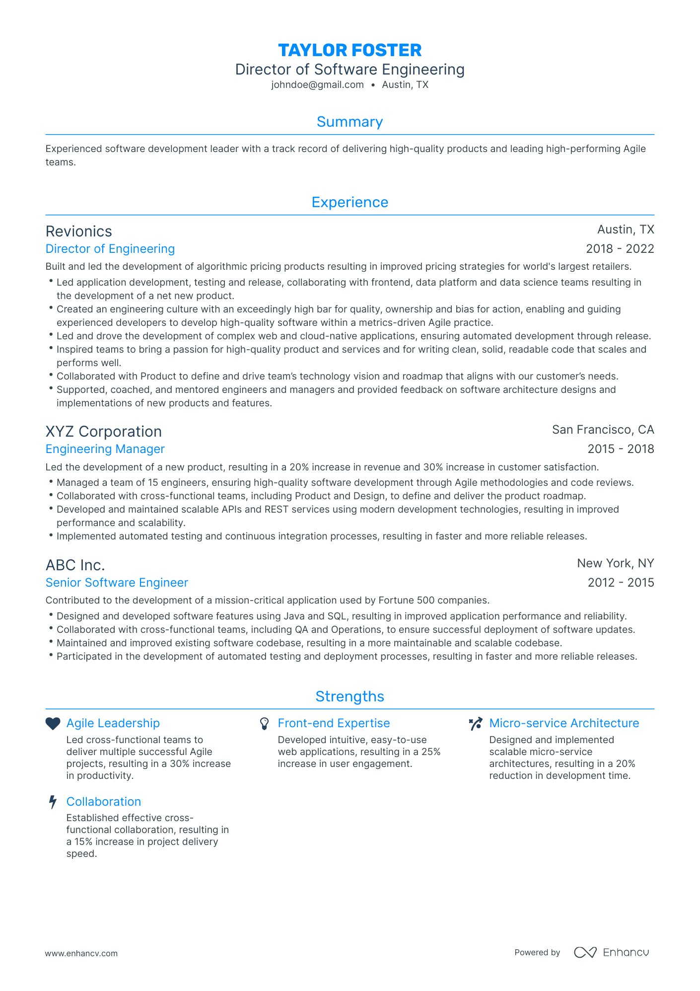 Traditional Director Of Software Engineering Resume Template
