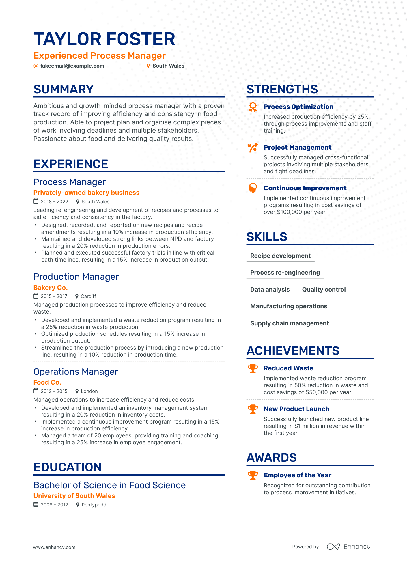 Simple Process Manager Resume Template