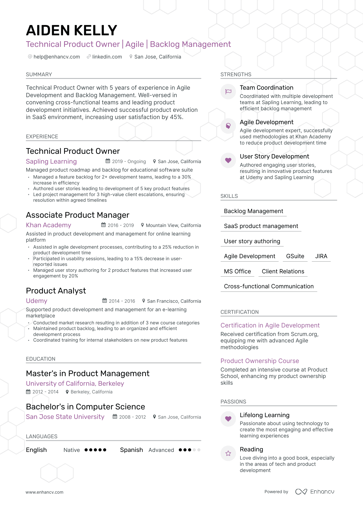 undefined Technical Product Owner Resume Template