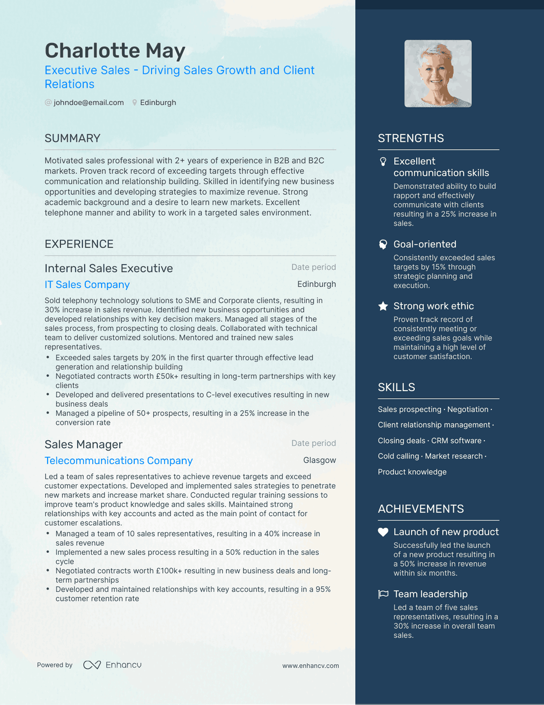 One Page Executive Sales Resume Template