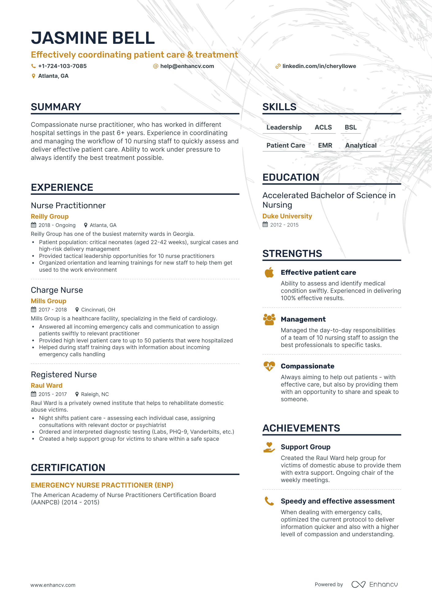 entry level nurse practitioner resume template