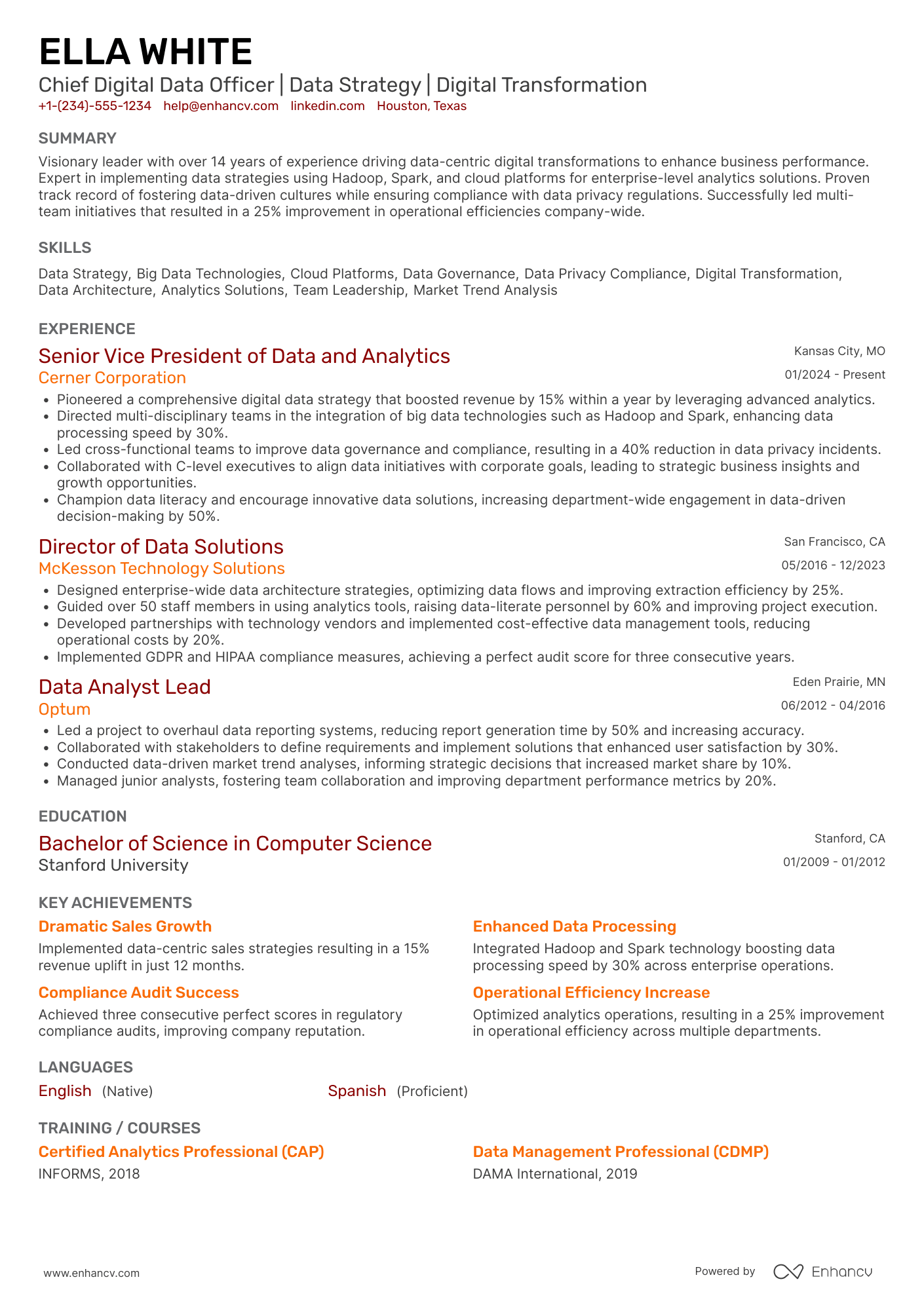 A resume example of a Chief Digital Data Officer