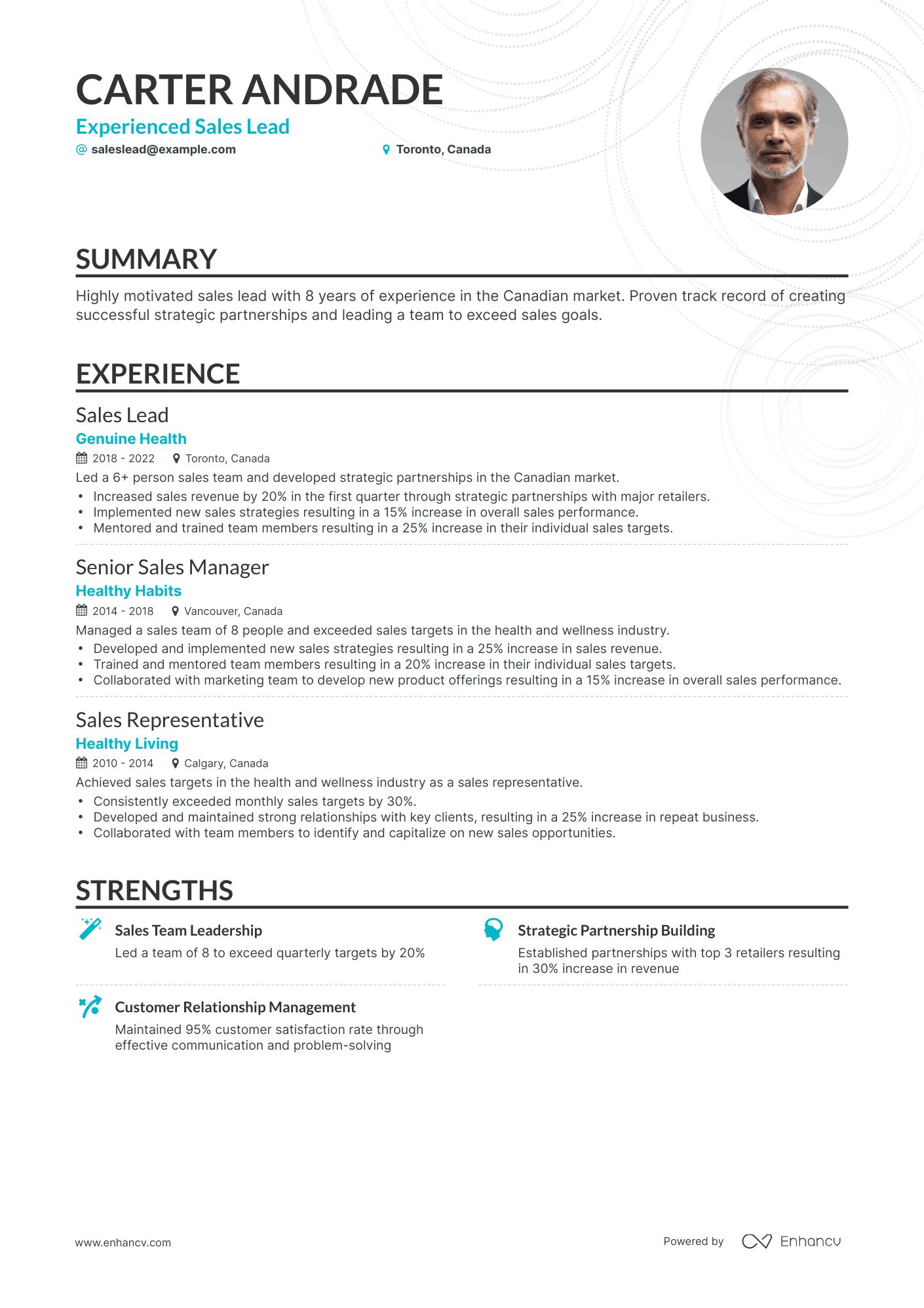 Classic Sales Lead Resume Template