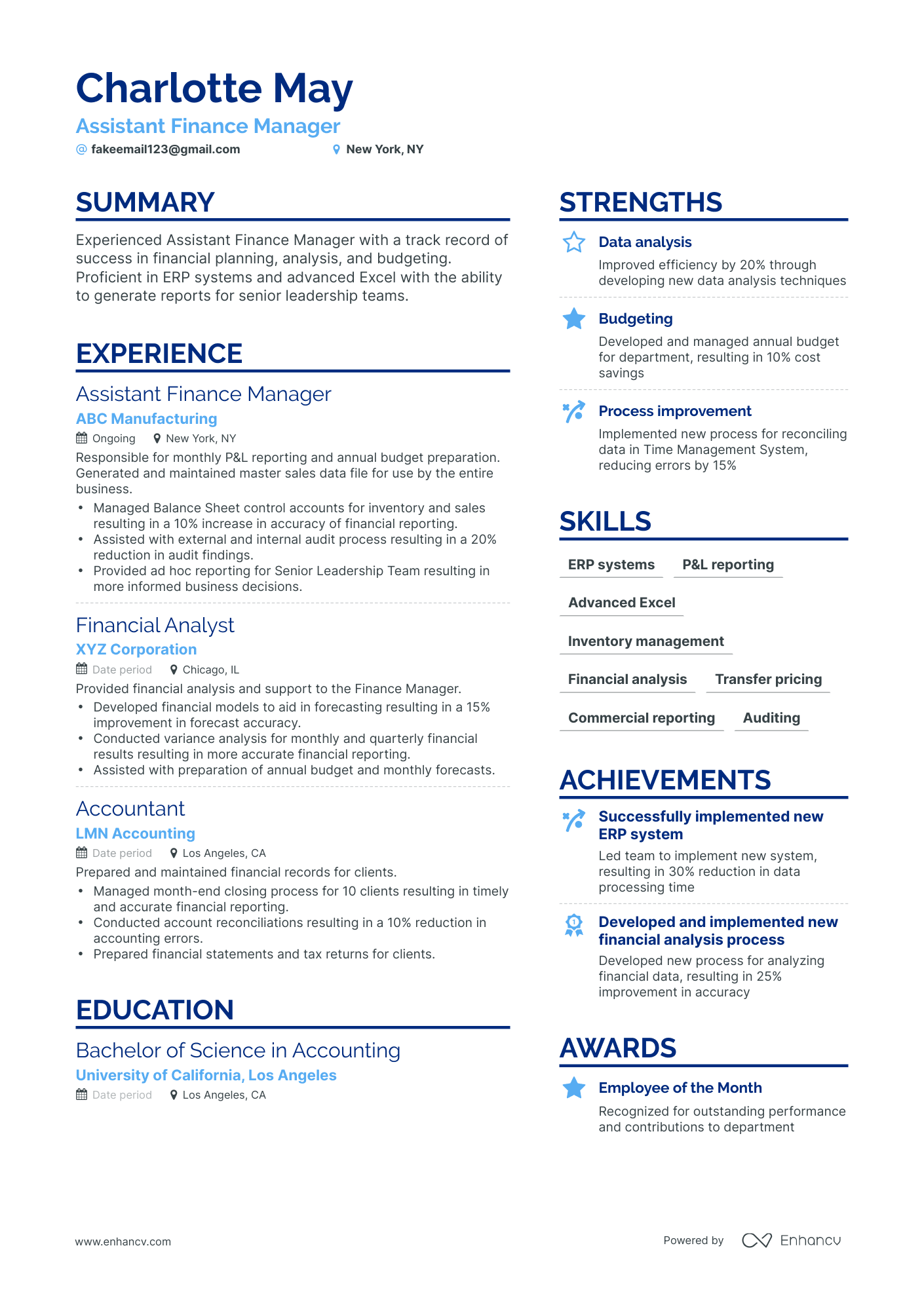 Simple Assistant Finance Manager Resume Template