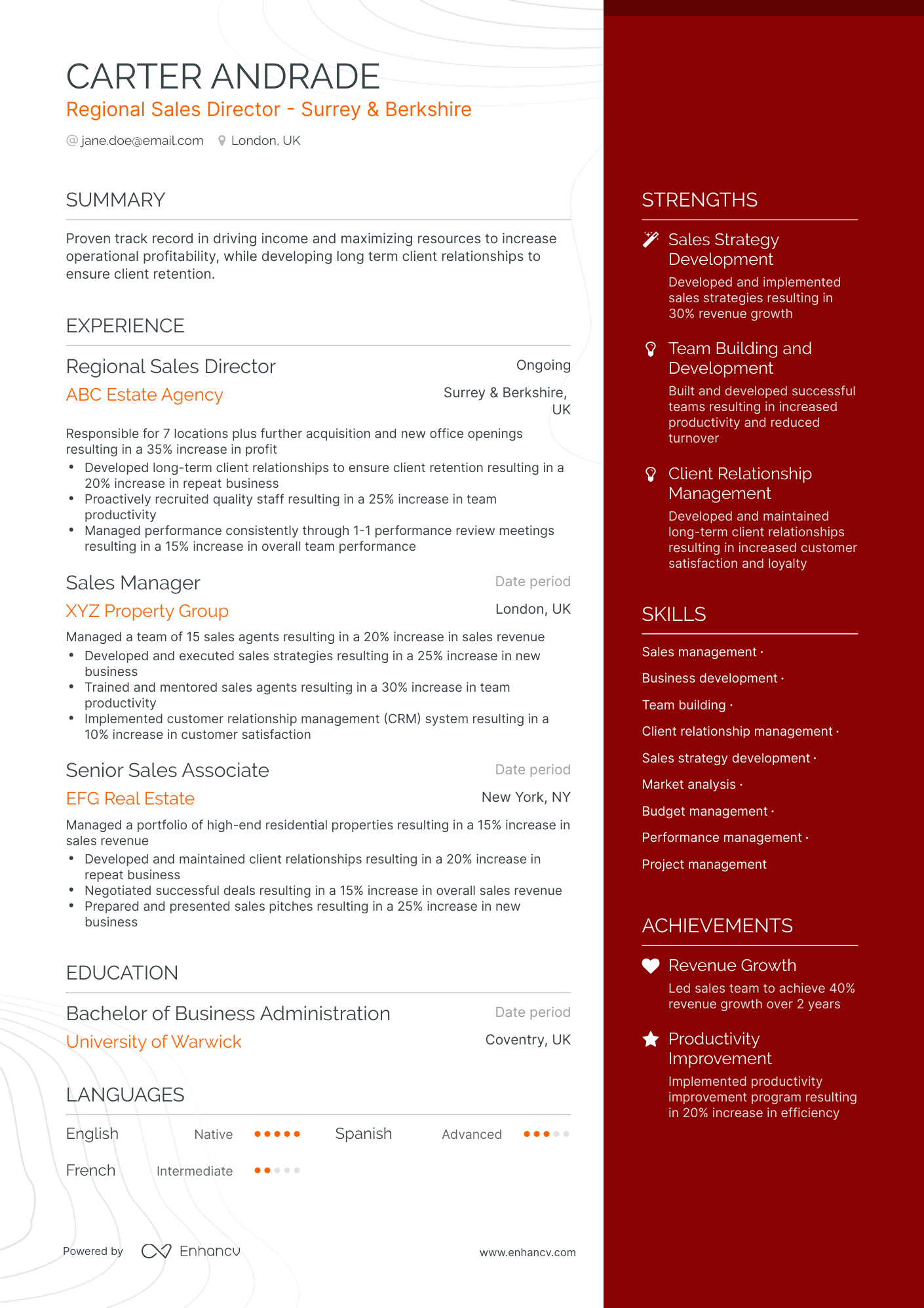 One Page Regional Sales Director Resume Template