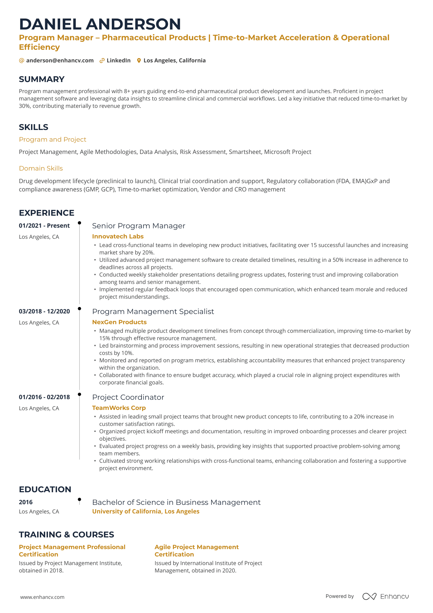 A resume example of a Pharmaceutical Program Manager