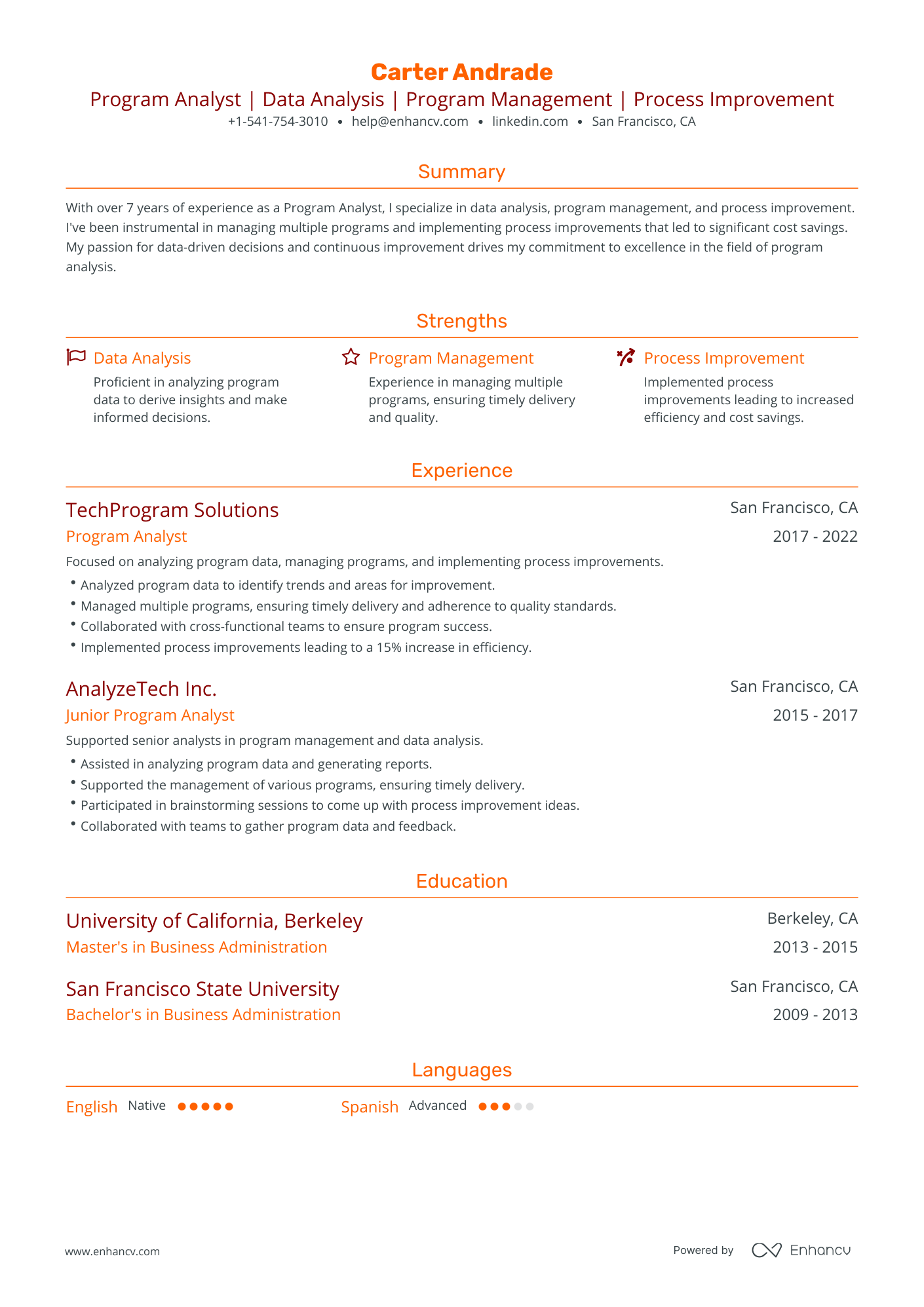 Traditional Program Analyst Resume Template
