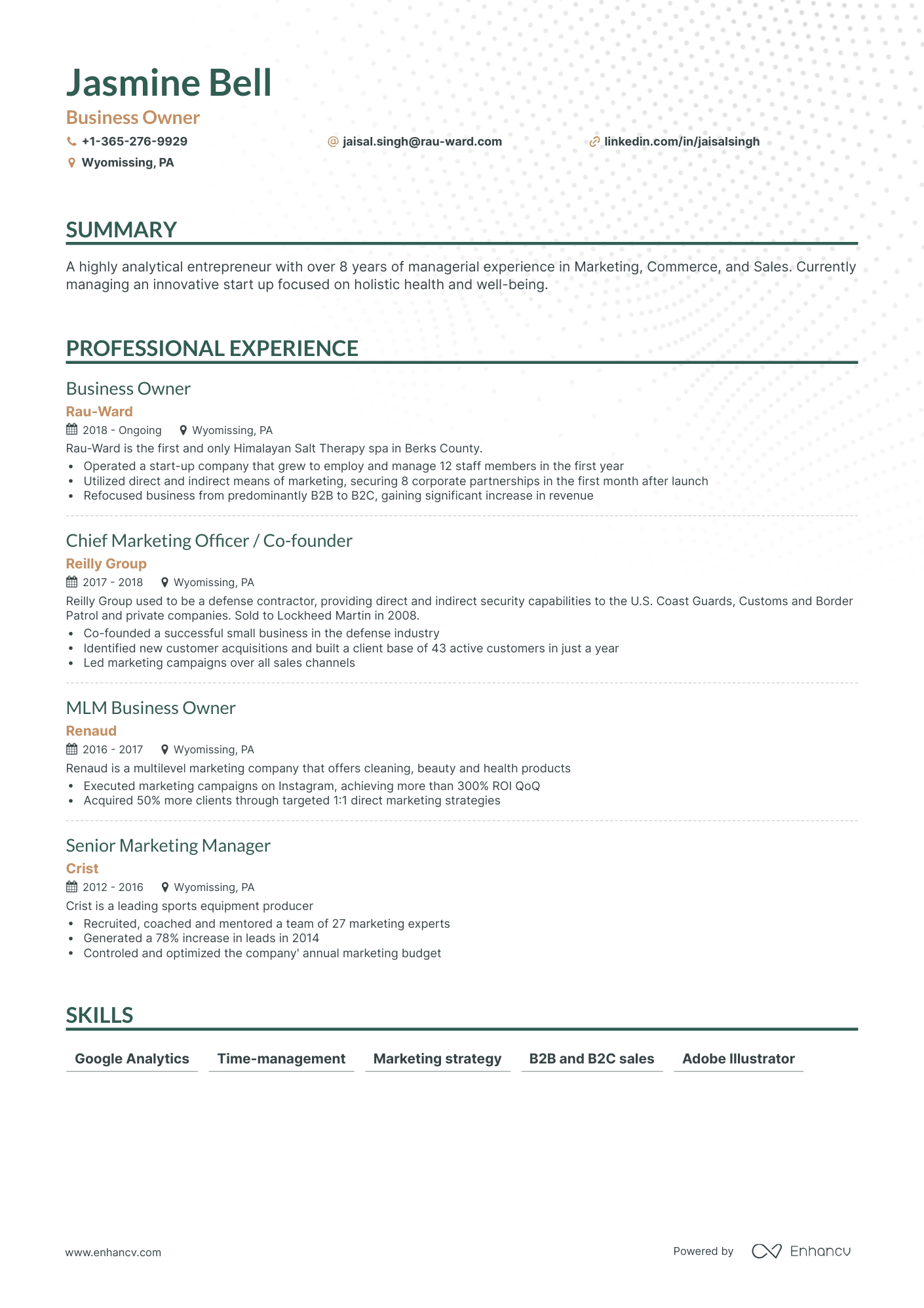 Classic Business Owner Resume Template